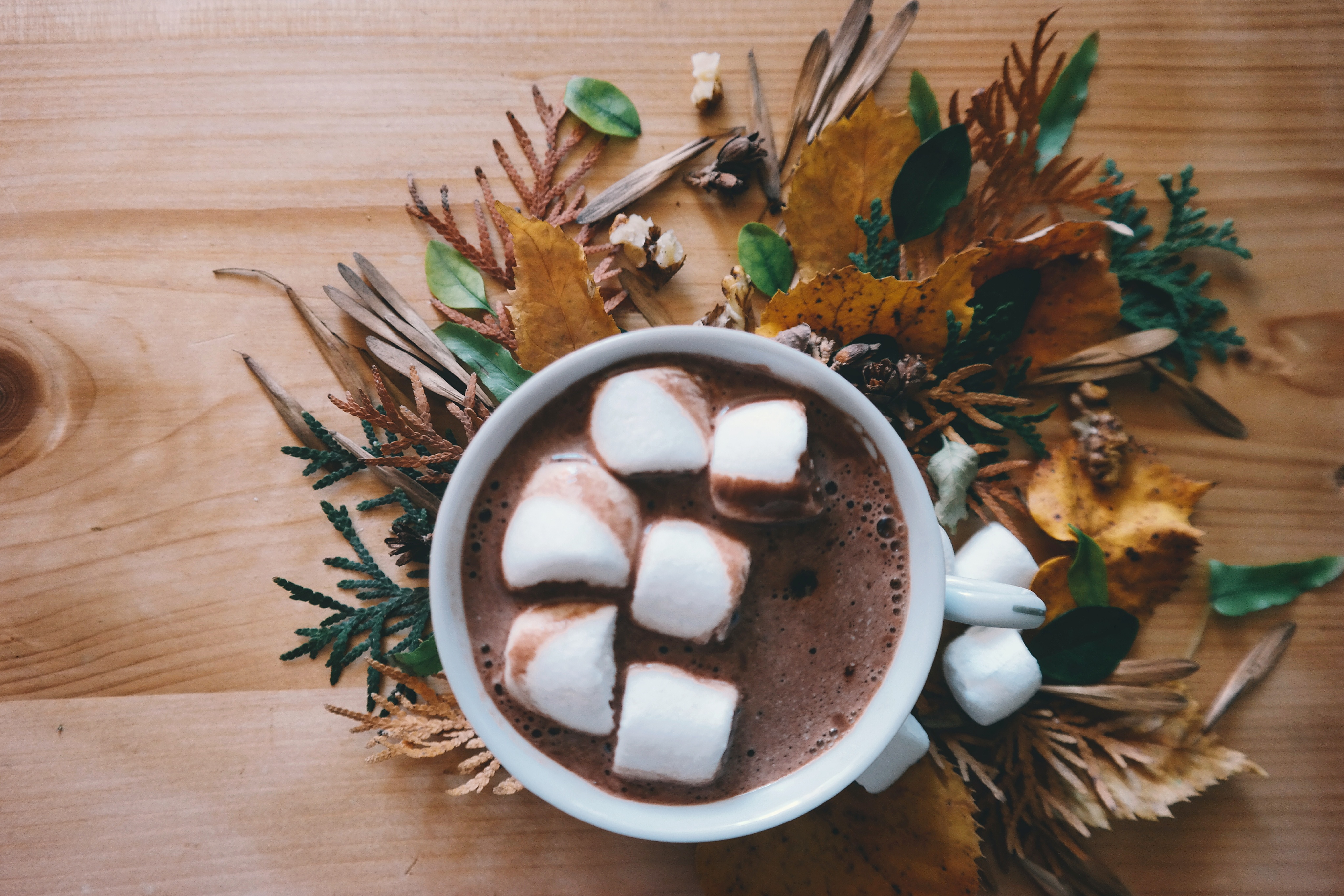 Download mobile wallpaper Food, Cup, Leaf, Marshmallow, Hot Chocolate for free.