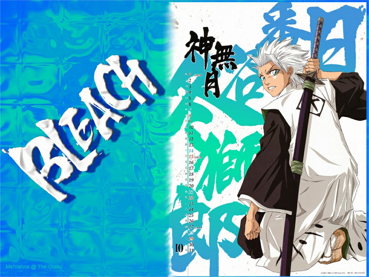 Téléchargez des papiers peints mobile Bleach, Animé, Tōshirō Hitsugaya gratuitement.