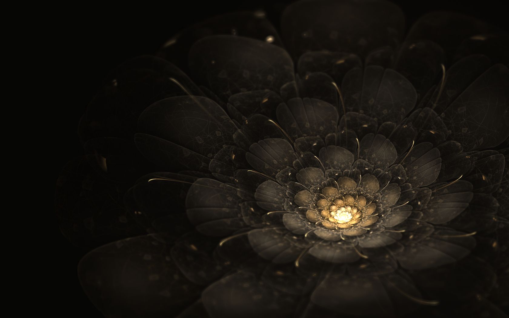 Free download wallpaper Abstract, Flower, Fractal on your PC desktop