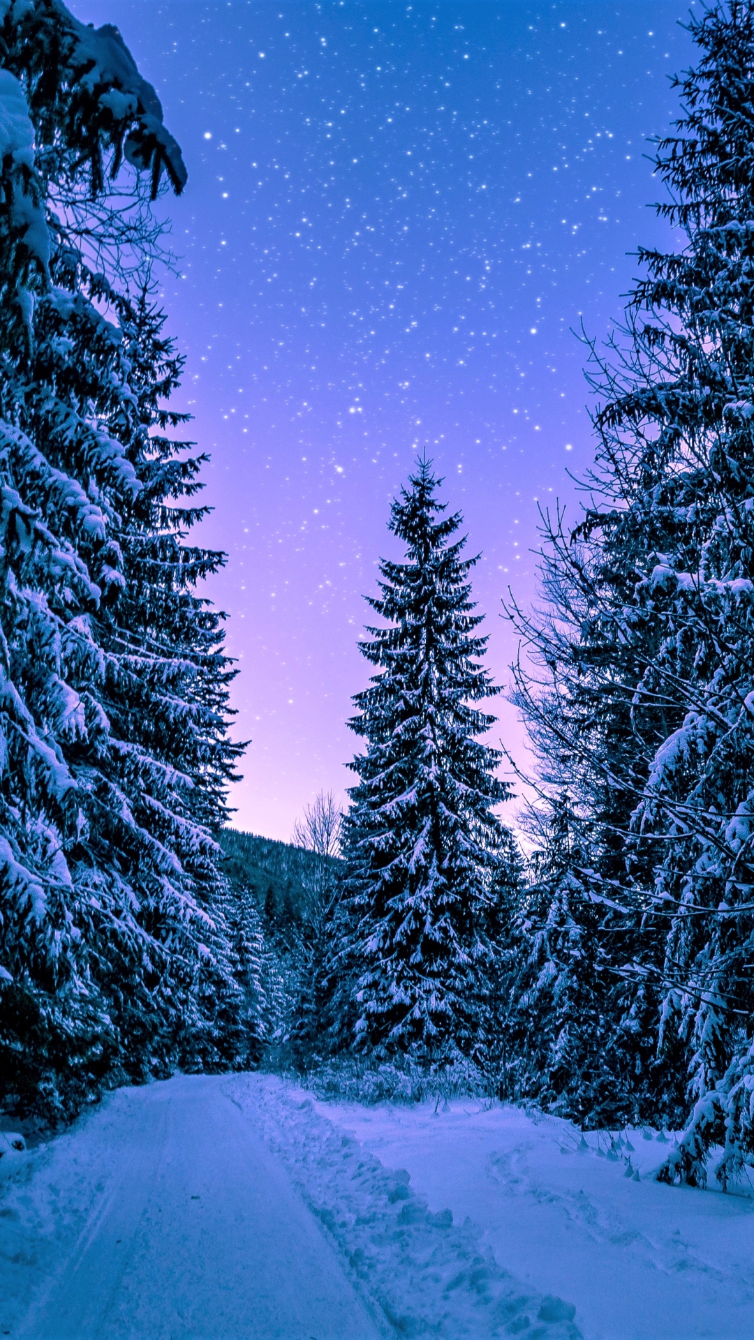 Descarga gratuita de fondo de pantalla para móvil de Invierno, Pino, Noche, Nieve, Bosque, Árbol, Cielo Estrellado, Tierra/naturaleza.