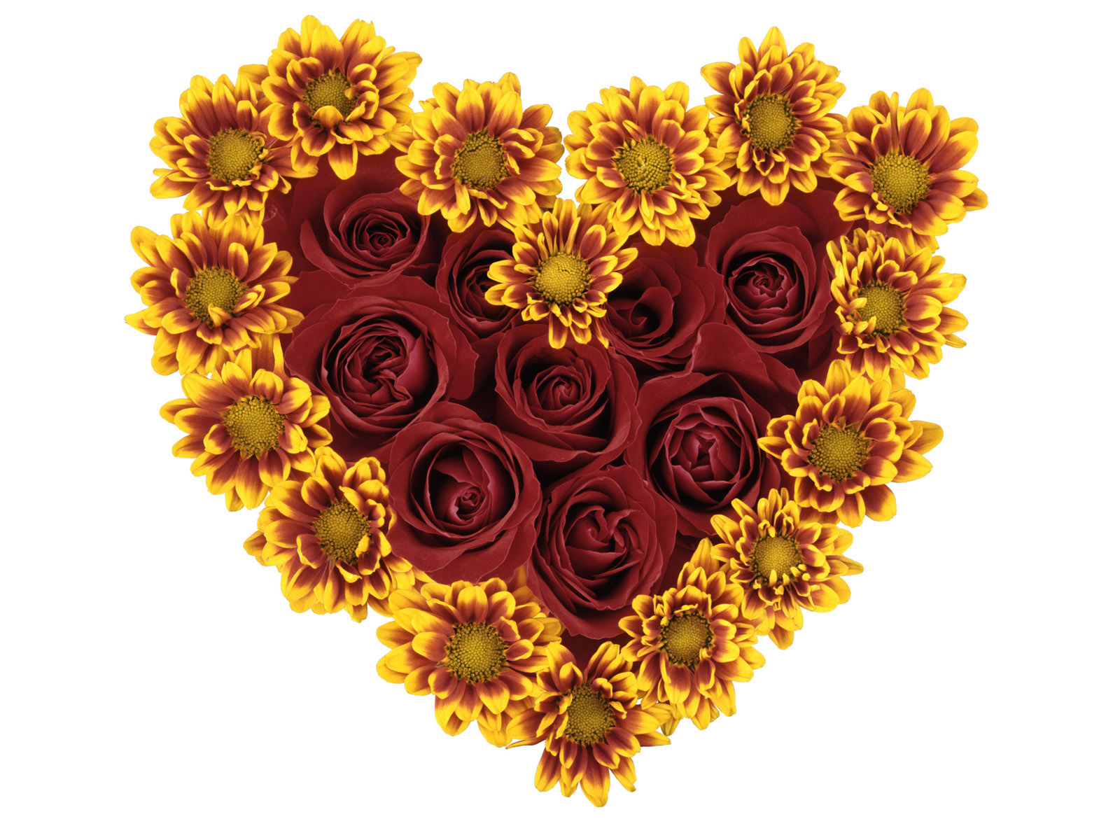 Скачать обои бесплатно Хризантемы, Цветок, Роза, Сердце, Желтый Цветок, Художественные, Красный Цветок картинка на рабочий стол ПК