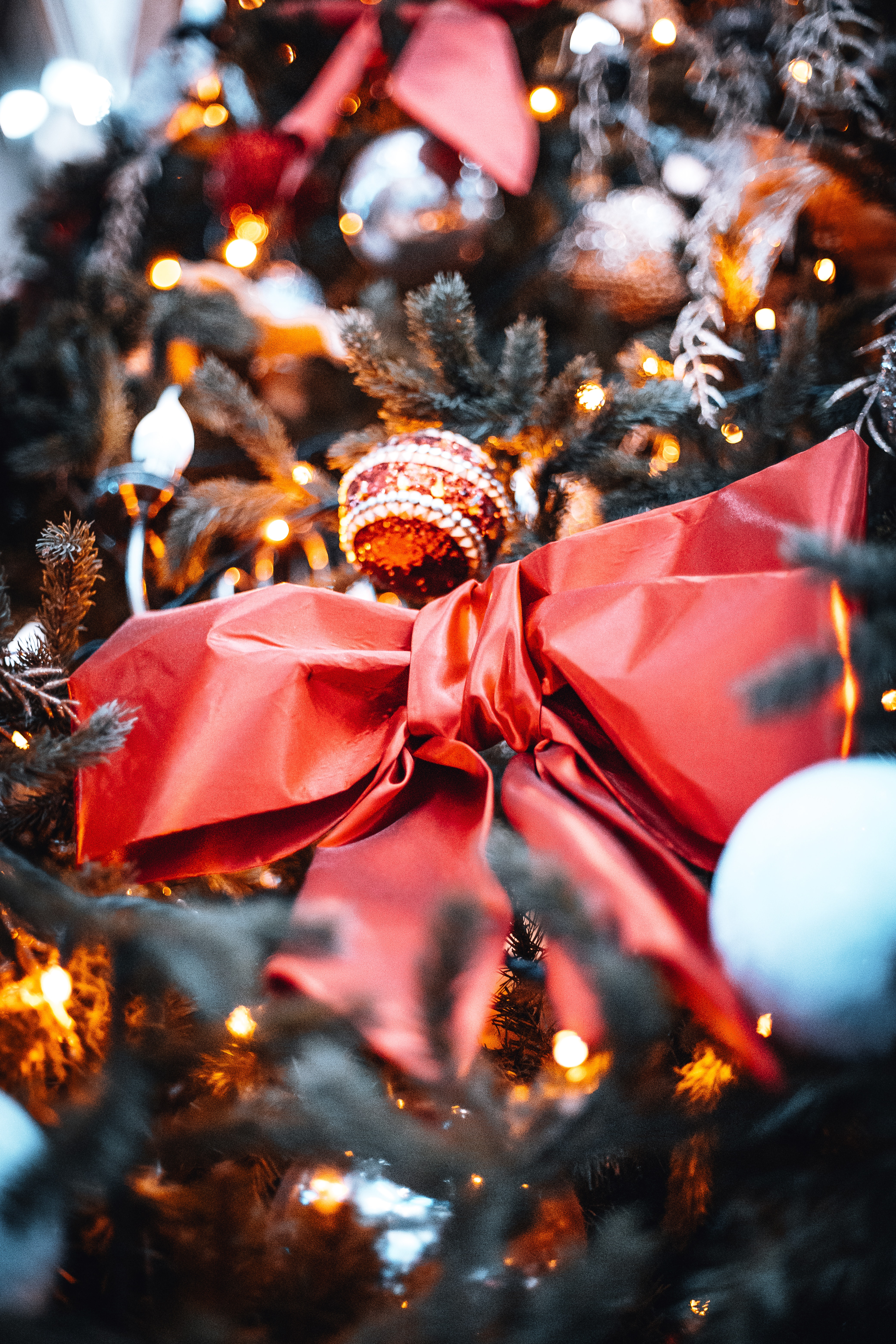 Baixe gratuitamente a imagem Férias, Ano Novo, Decorações, Natal, Arco, Árvore De Natal na área de trabalho do seu PC