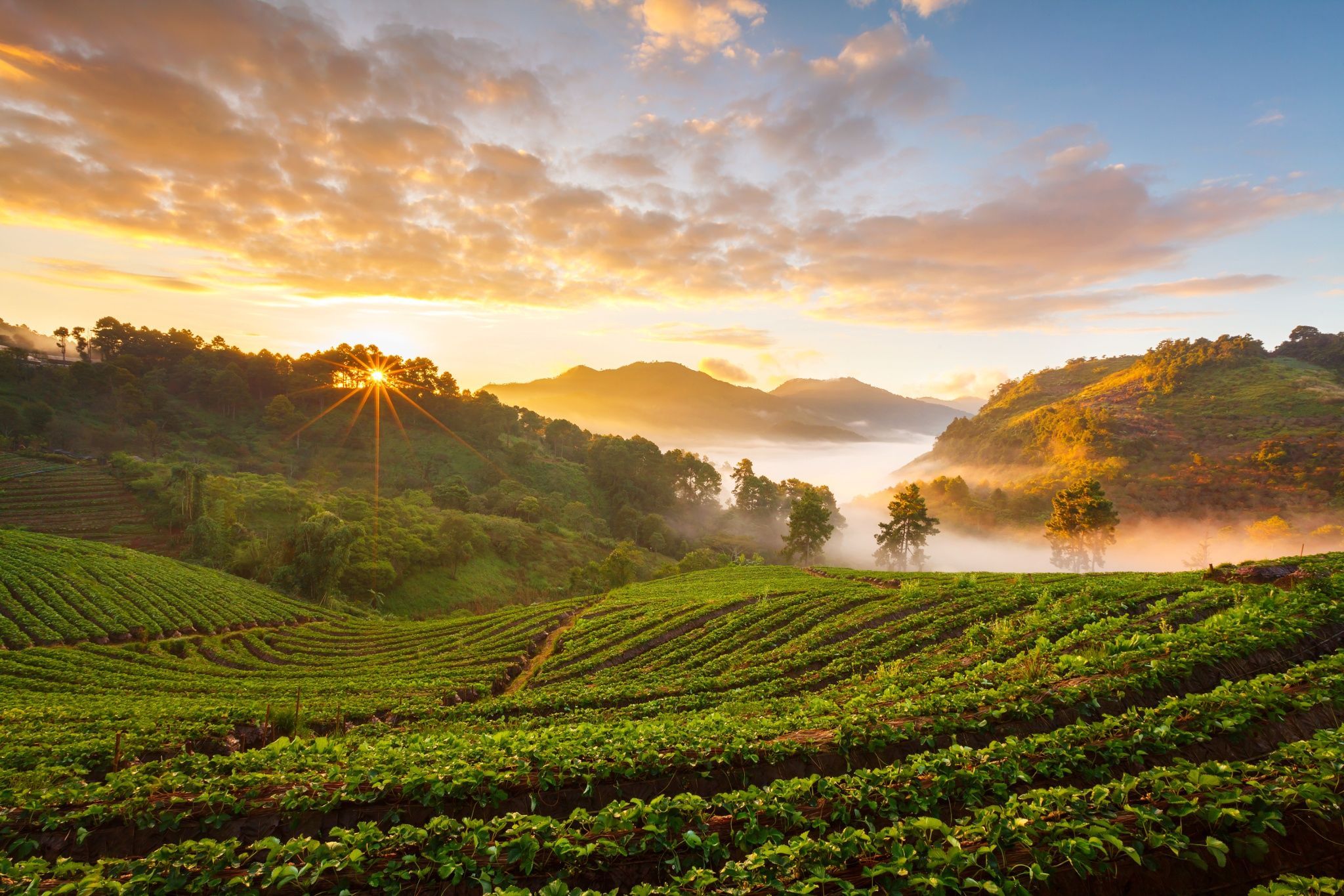 Laden Sie das Erde/natur, Sonnenuntergang-Bild kostenlos auf Ihren PC-Desktop herunter