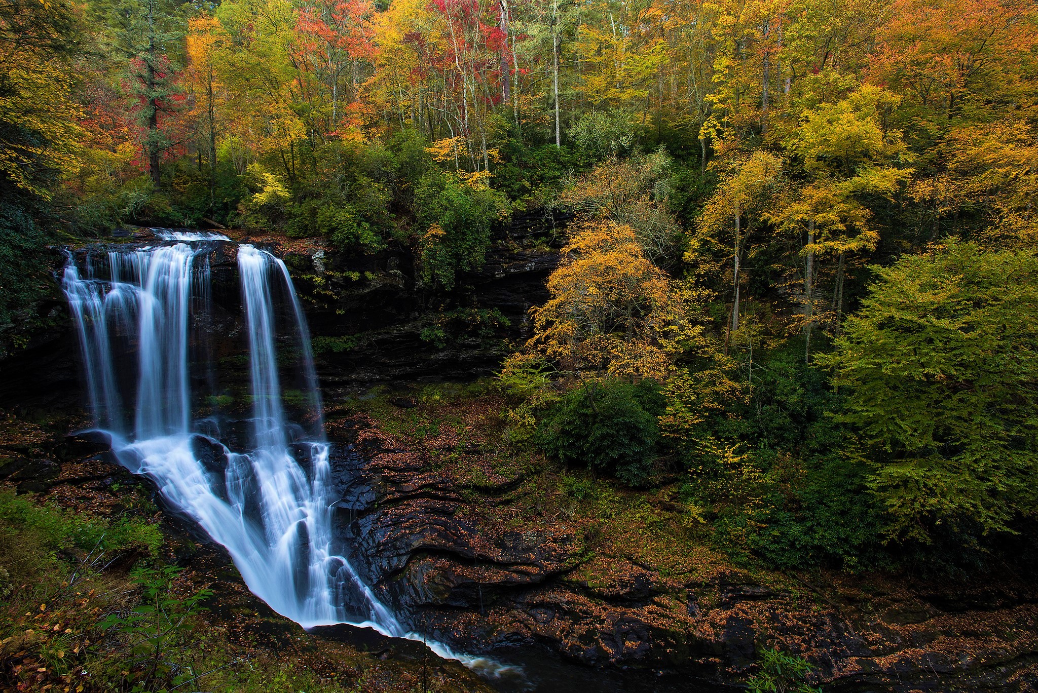 Download mobile wallpaper Waterfalls, Waterfall, Forest, Fall, Earth, Stone for free.