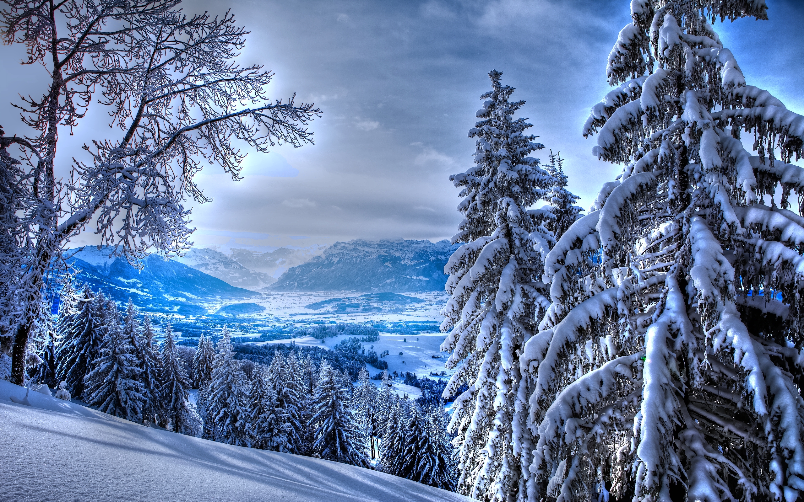 Download mobile wallpaper Winter, Earth for free.