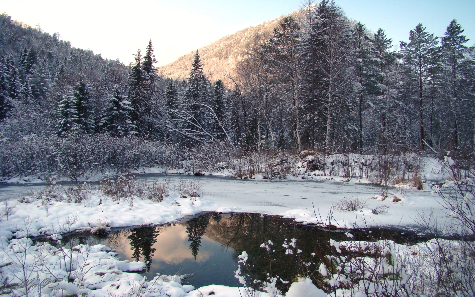 Free download wallpaper Landscape, Winter, Trees, Snow, Fir Trees, Lakes on your PC desktop