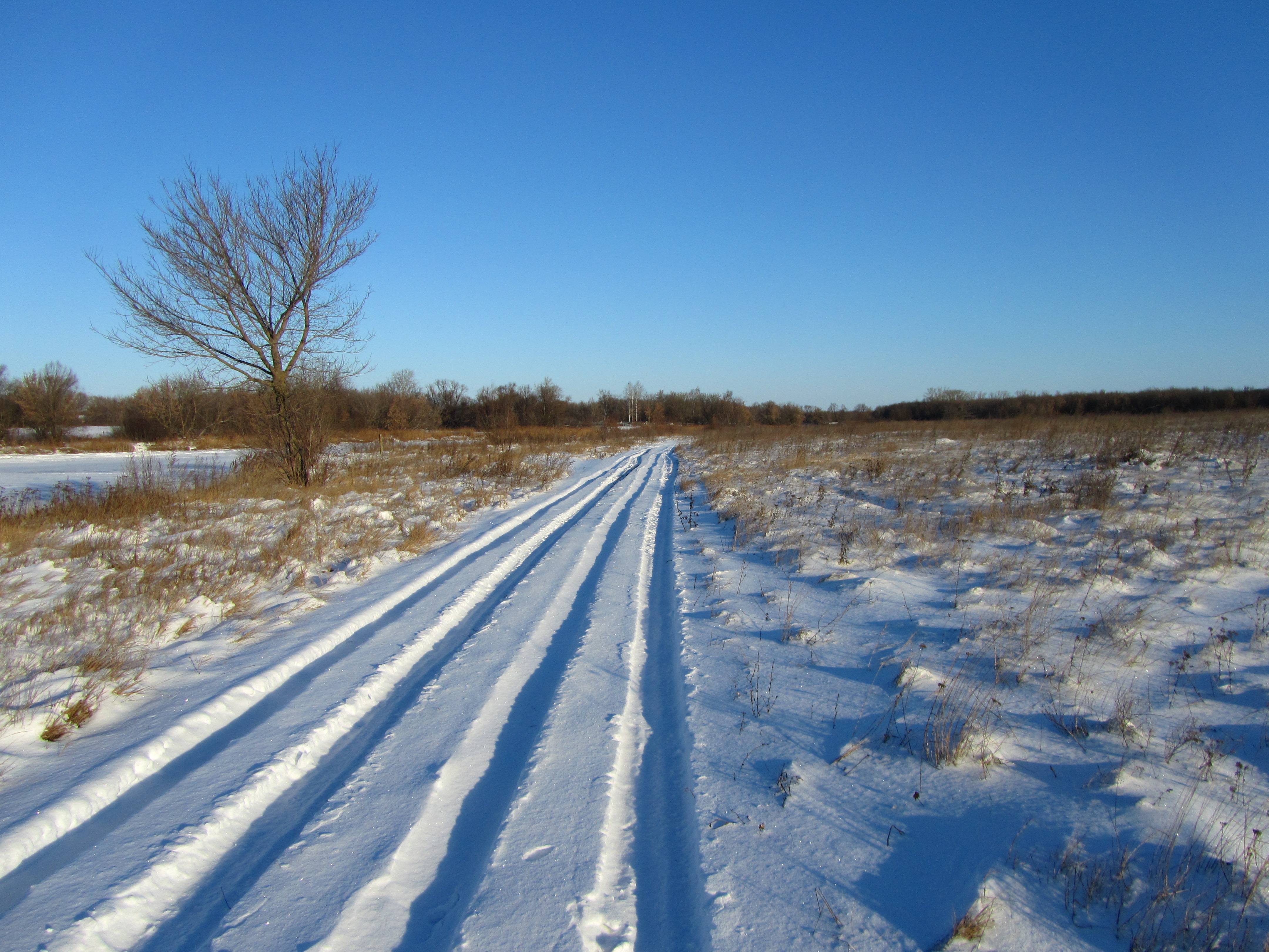 Descarga gratis la imagen Invierno, Tierra/naturaleza en el escritorio de tu PC