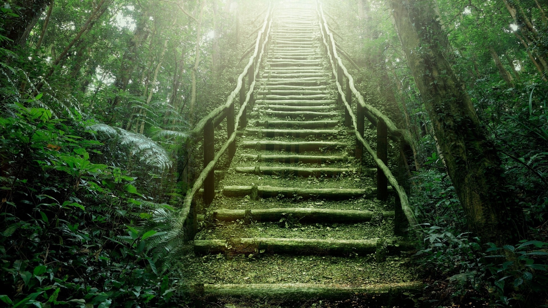 Handy-Wallpaper Natur, Wald, Treppe, Moos, Menschengemacht kostenlos herunterladen.