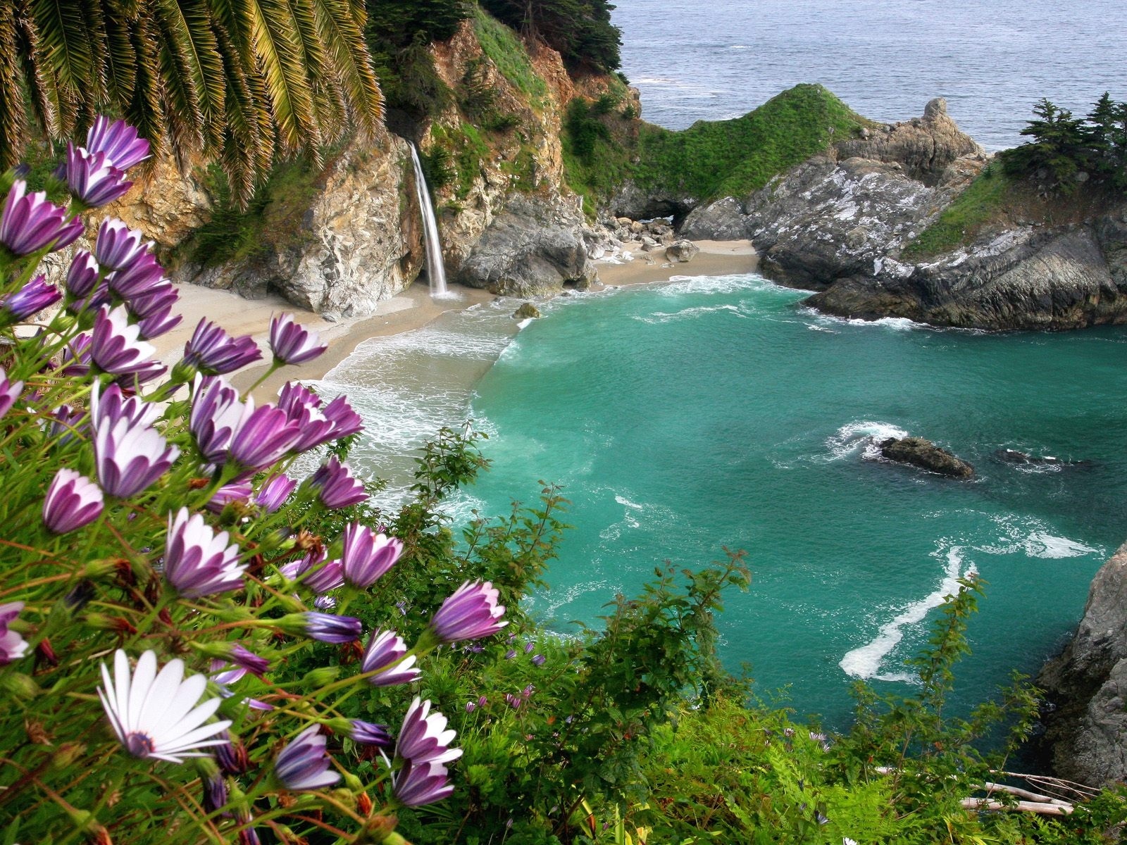landscape, beach, flowers, sea