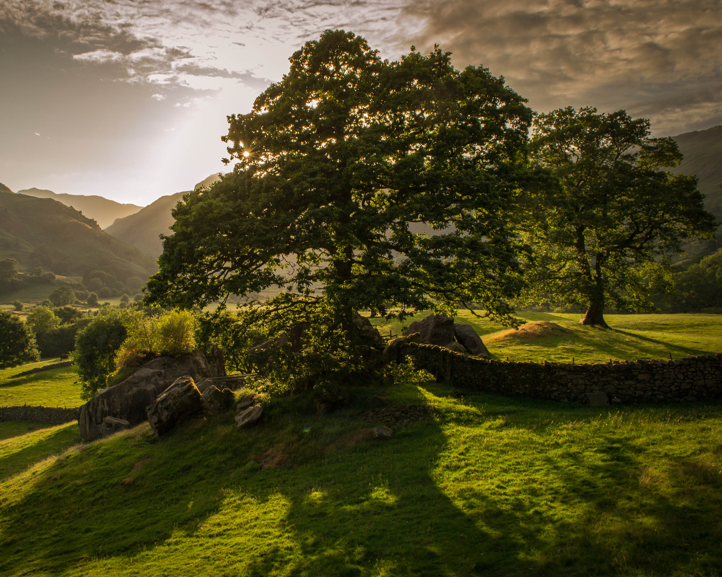 Free download wallpaper Landscape, Sunset, Tree, Earth, Sunshine on your PC desktop