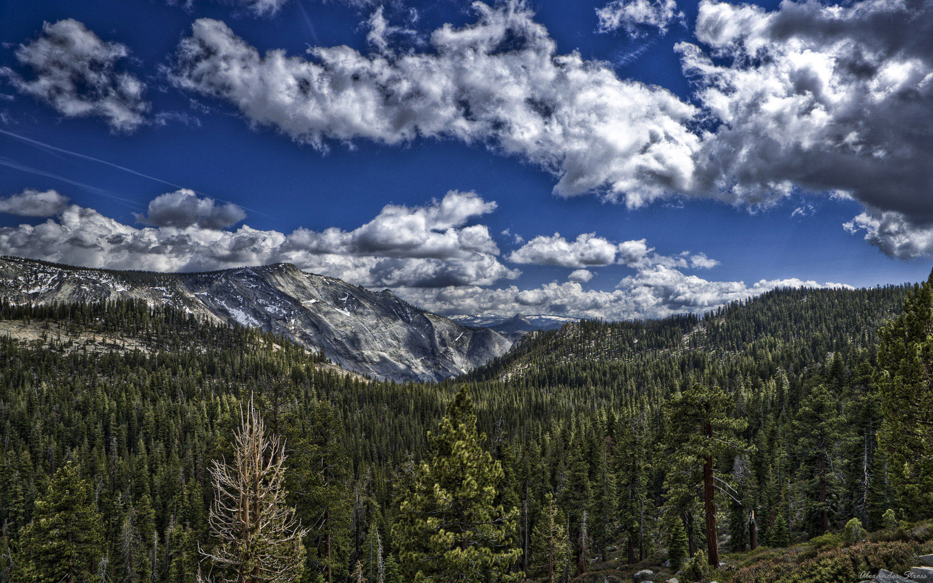 Descarga gratis la imagen Bosque, Tierra/naturaleza en el escritorio de tu PC