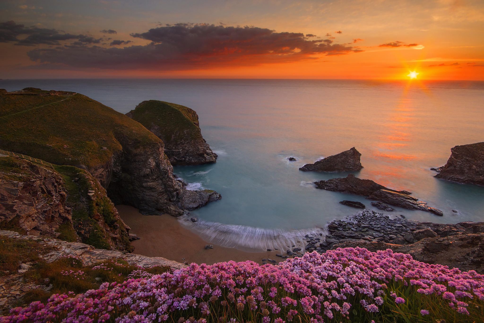 Download mobile wallpaper Sunset, Sea, Horizon, Flower, Coast, Ocean, Earth for free.