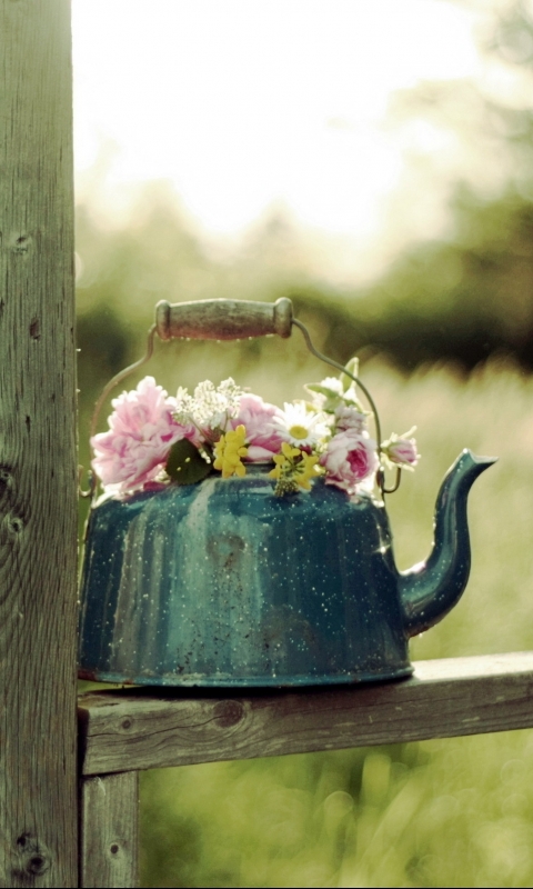 Download mobile wallpaper Flower, Teapot, Man Made for free.