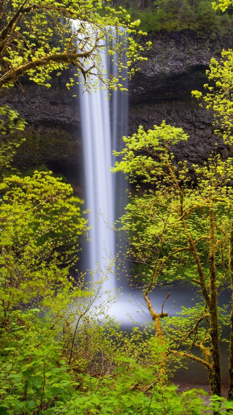 Baixar papel de parede para celular de Cachoeiras, Árvore, Terra/natureza, Cachoeira gratuito.