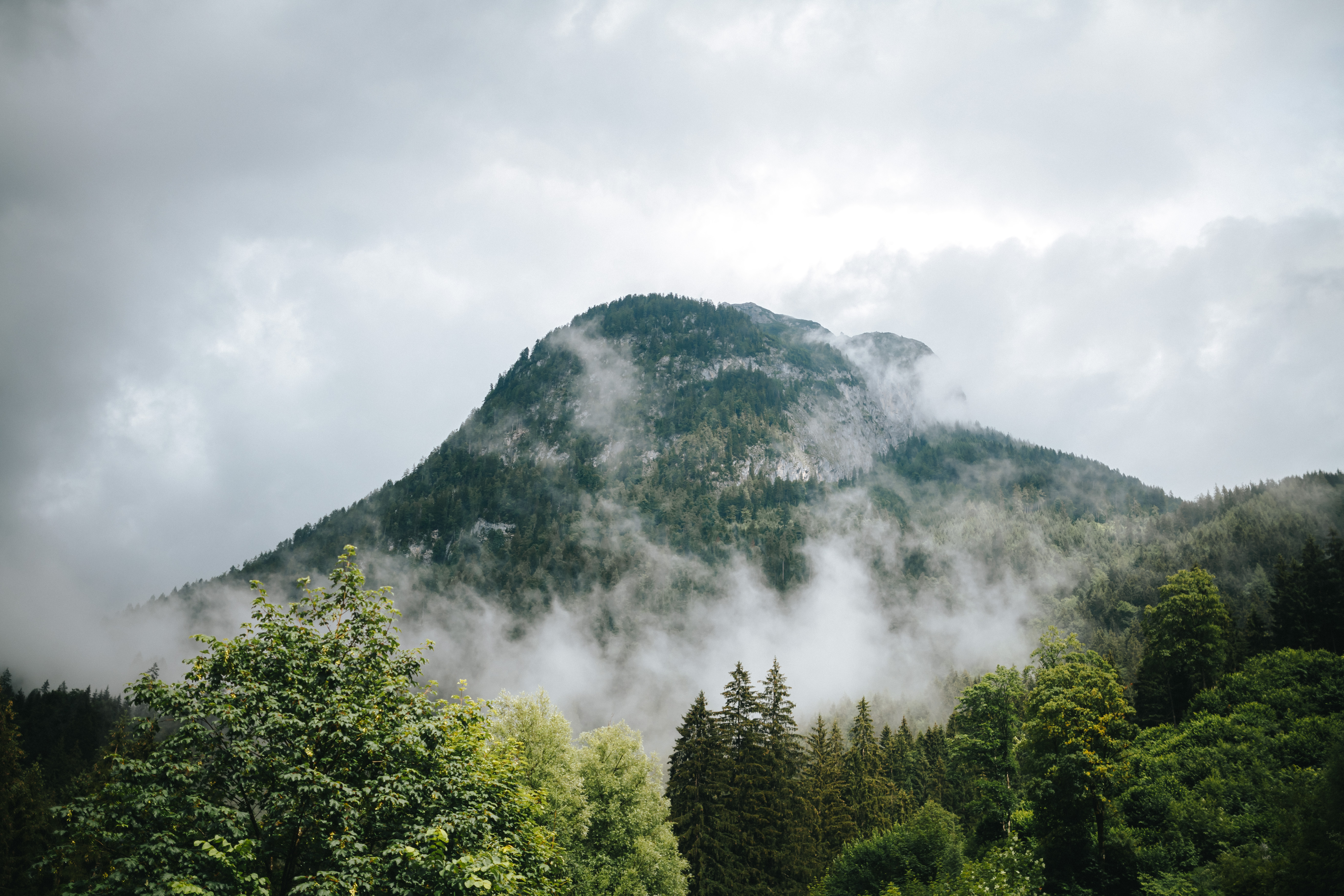 Download mobile wallpaper Fog, Mountains, Trees, Nature, Forest for free.