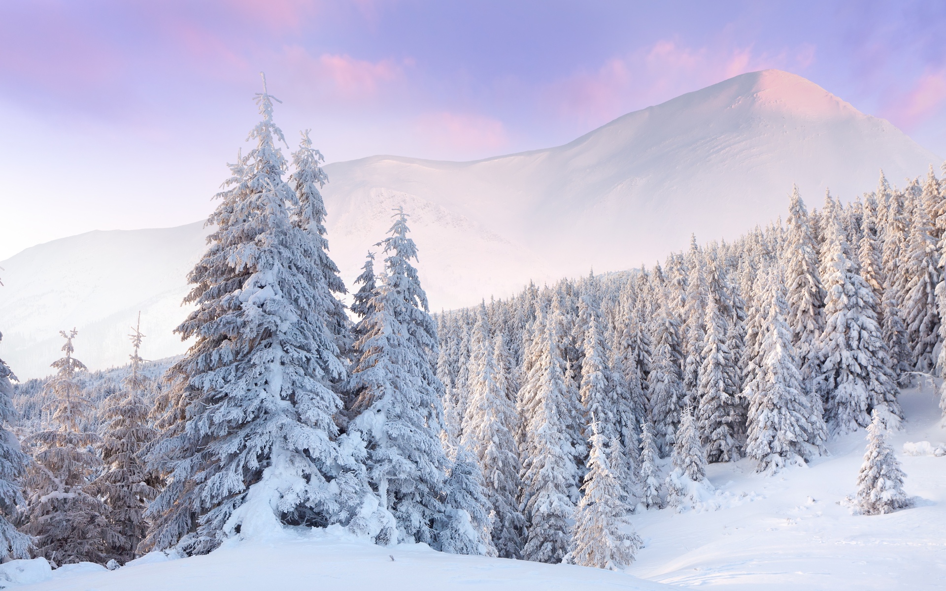 Скачать обои бесплатно Зима, Природа, Снег, Гора, Лес, Дерево, Ландшафт, Земля/природа картинка на рабочий стол ПК