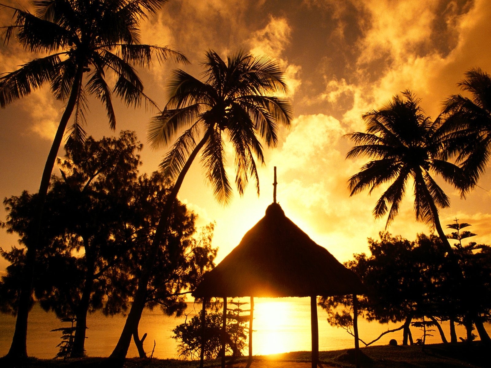 Laden Sie das Landschaft, Palms-Bild kostenlos auf Ihren PC-Desktop herunter