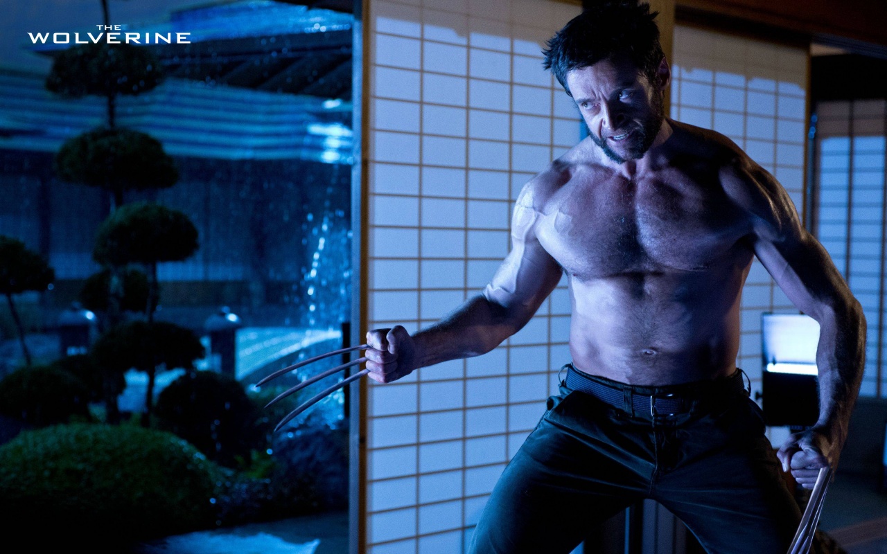 Download mobile wallpaper Movie, The Wolverine for free.