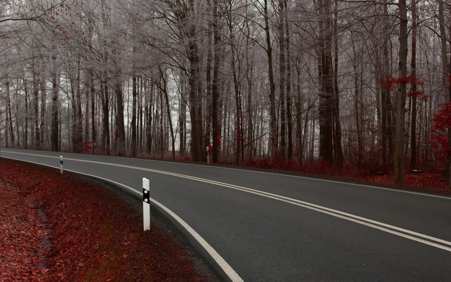 Free download wallpaper Road, Nature, Autumn, Turn on your PC desktop