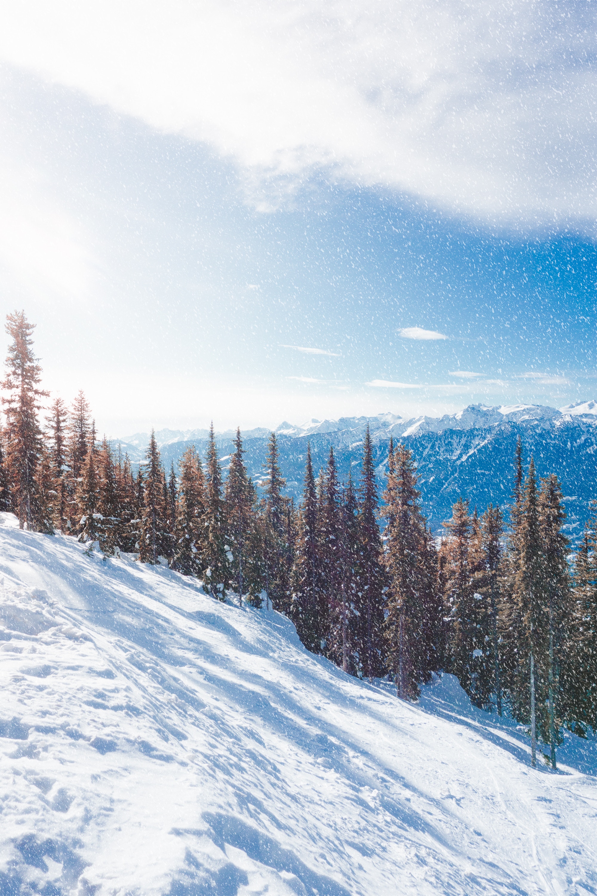 Laden Sie das Natur, Bäume, Steigung, Schneefall, Mountains, Schnee, Winter-Bild kostenlos auf Ihren PC-Desktop herunter