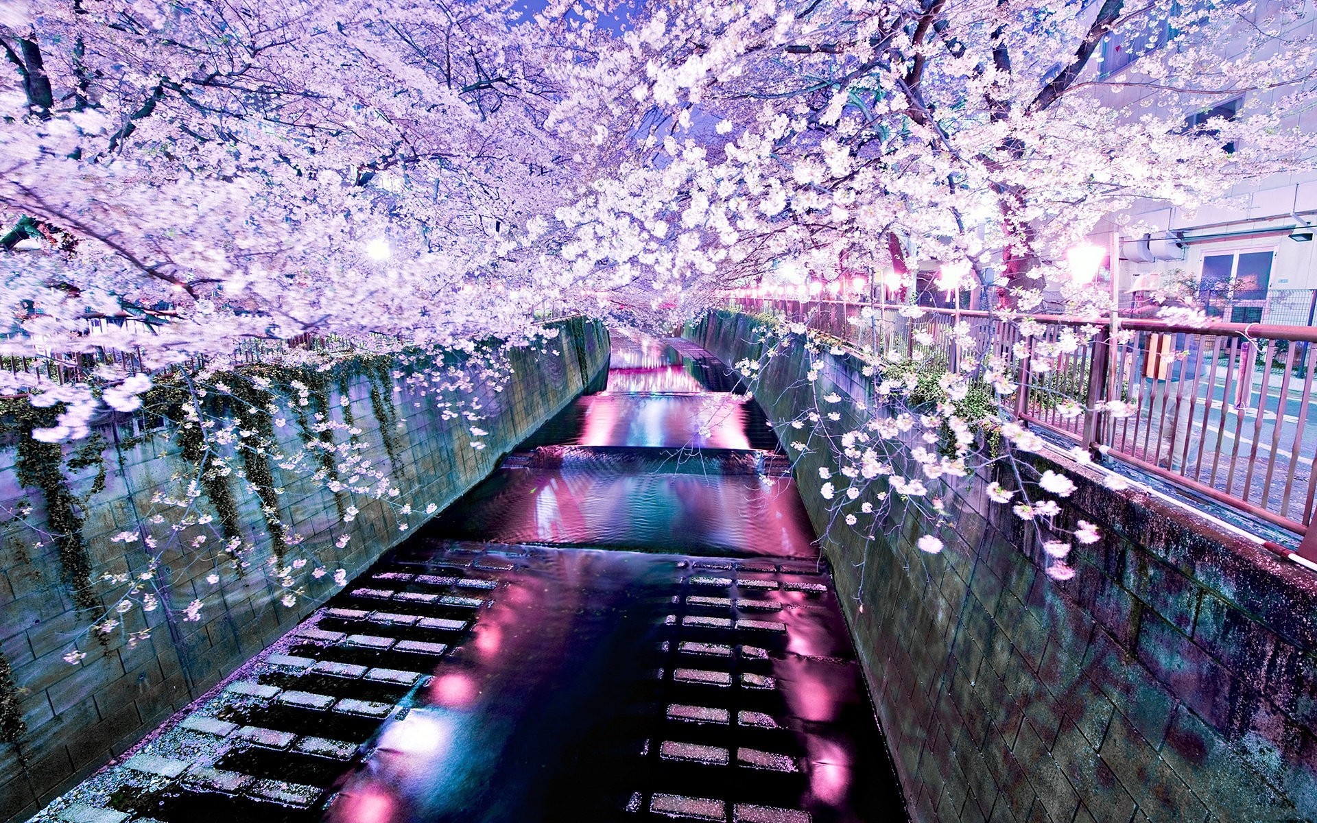 20338画像をダウンロード桜, 風景, 川, アジア-壁紙とスクリーンセーバーを無料で