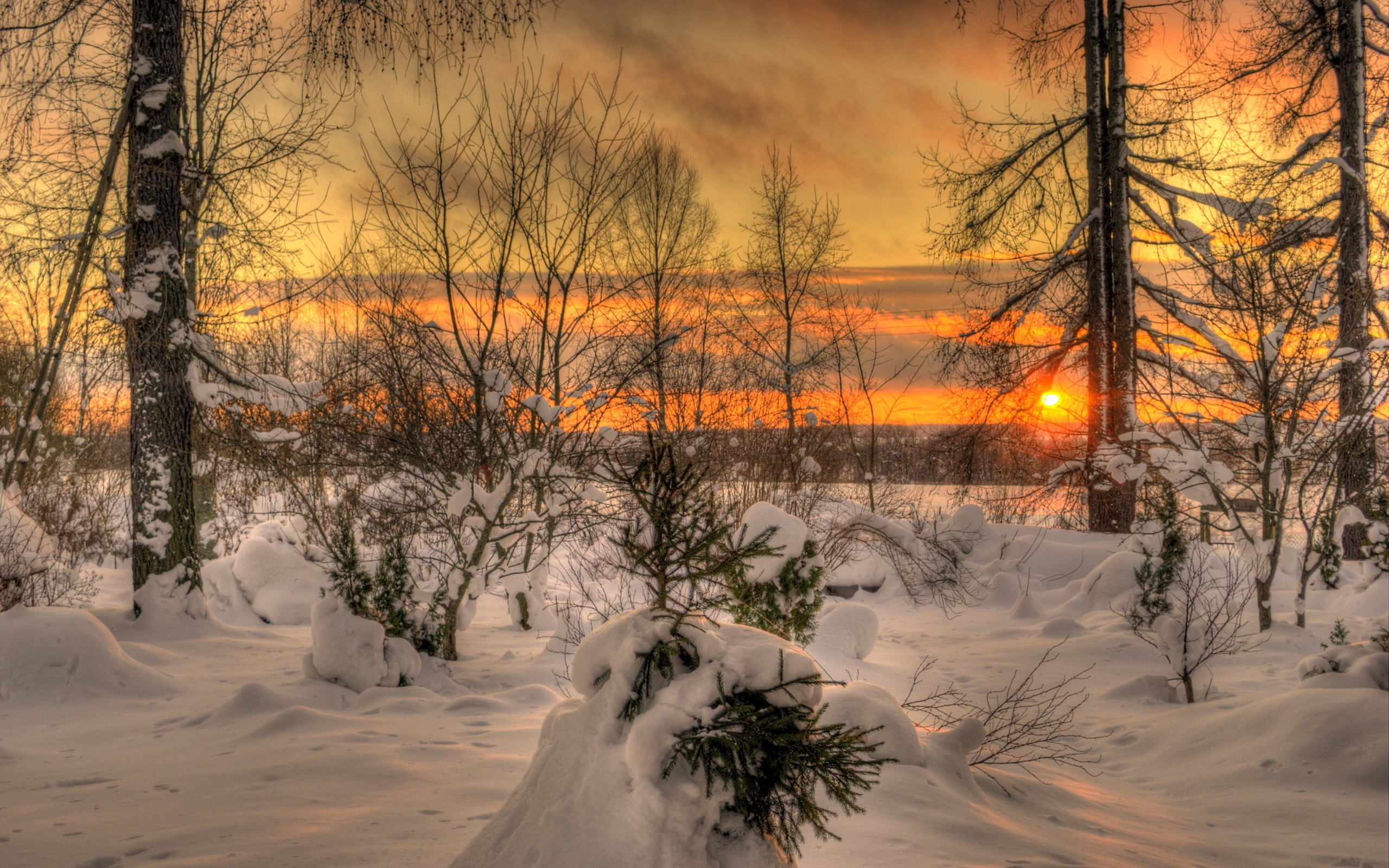 Скачать картинку Зима, Земля/природа в телефон бесплатно.
