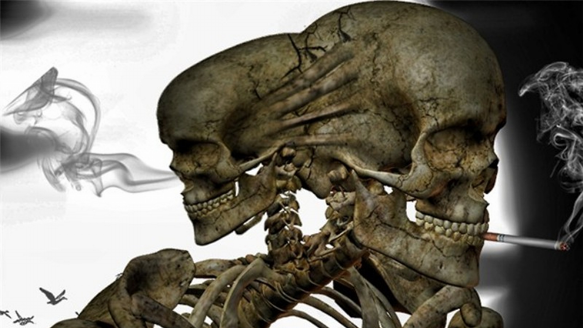 Téléchargez gratuitement l'image Sombre, Squelette sur le bureau de votre PC