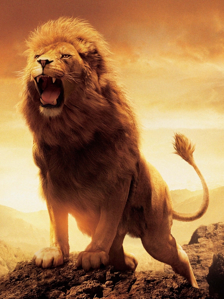 lion, movie, the chronicles of narnia: the lion the witch and the wardrobe, the chronicles of narnia, aslan