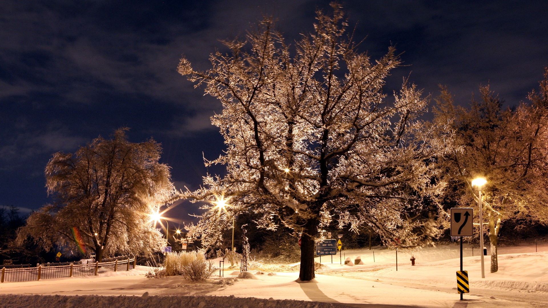 signs, winter, nature, trees, night, lights, park, lanterns, frost, hoarfrost