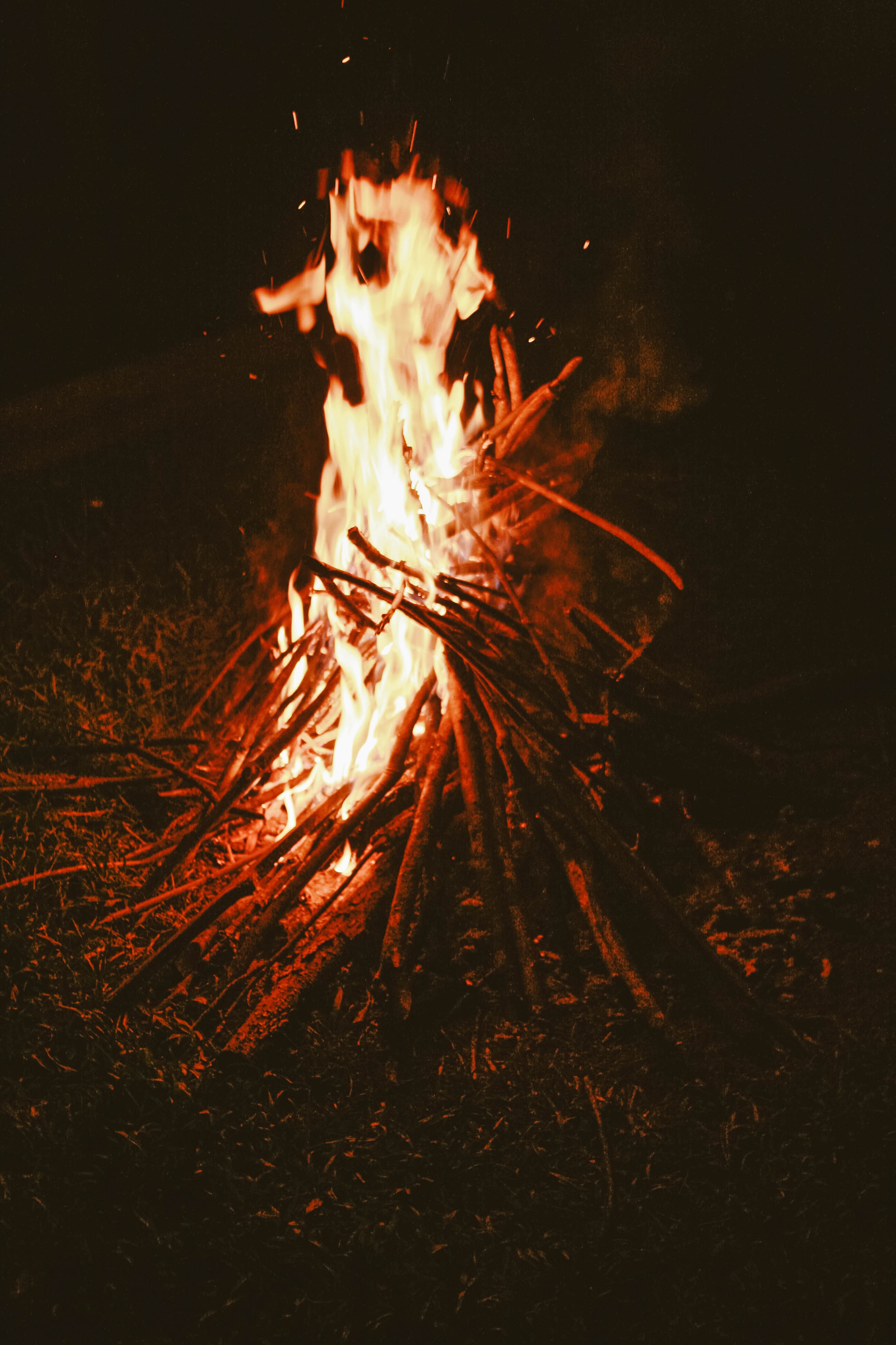 firewood, bonfire, fire, dark 32K
