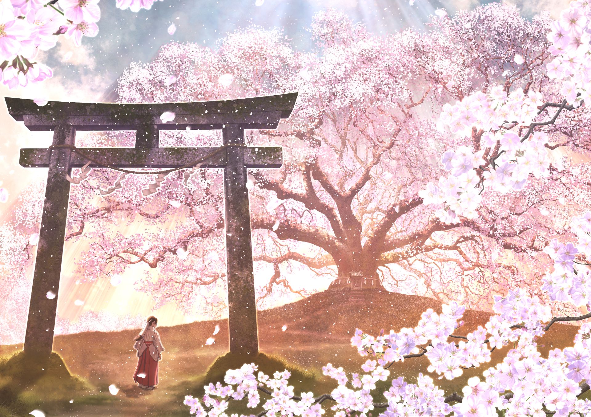 824981 baixar papel de parede anime, original, floração, flor de cerejeira, flor, oriental, pétala, flor rosa, santuário, primavera, traje tradicional, árvore - protetores de tela e imagens gratuitamente