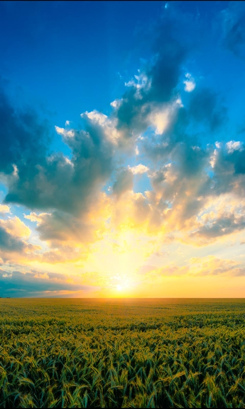 Download mobile wallpaper Sunset, Sky, Earth, Field, Cloud for free.