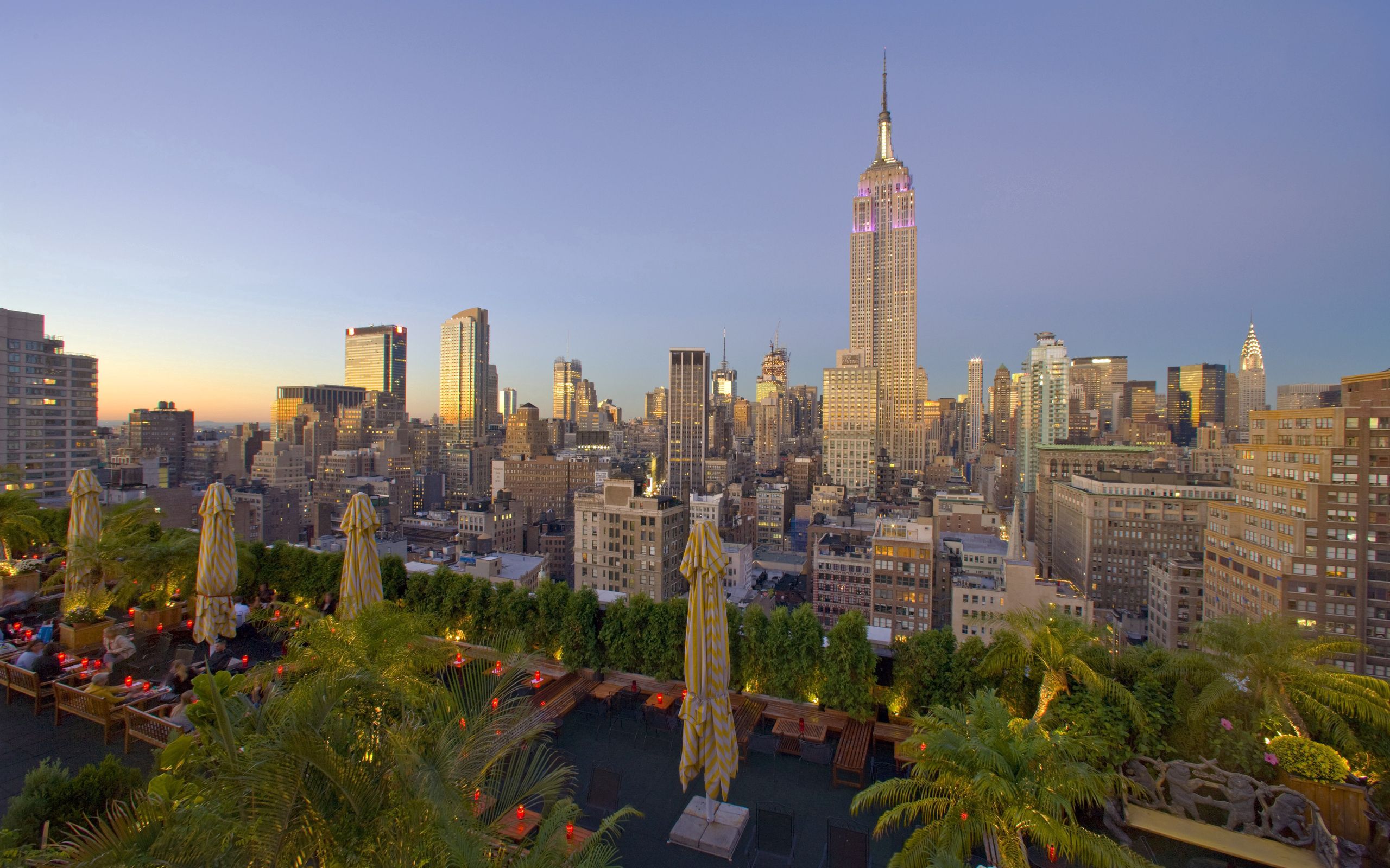 57183 скачать картинку нью йорк, города, пальмы, здания, вид сверху, небоскребы - обои и заставки бесплатно