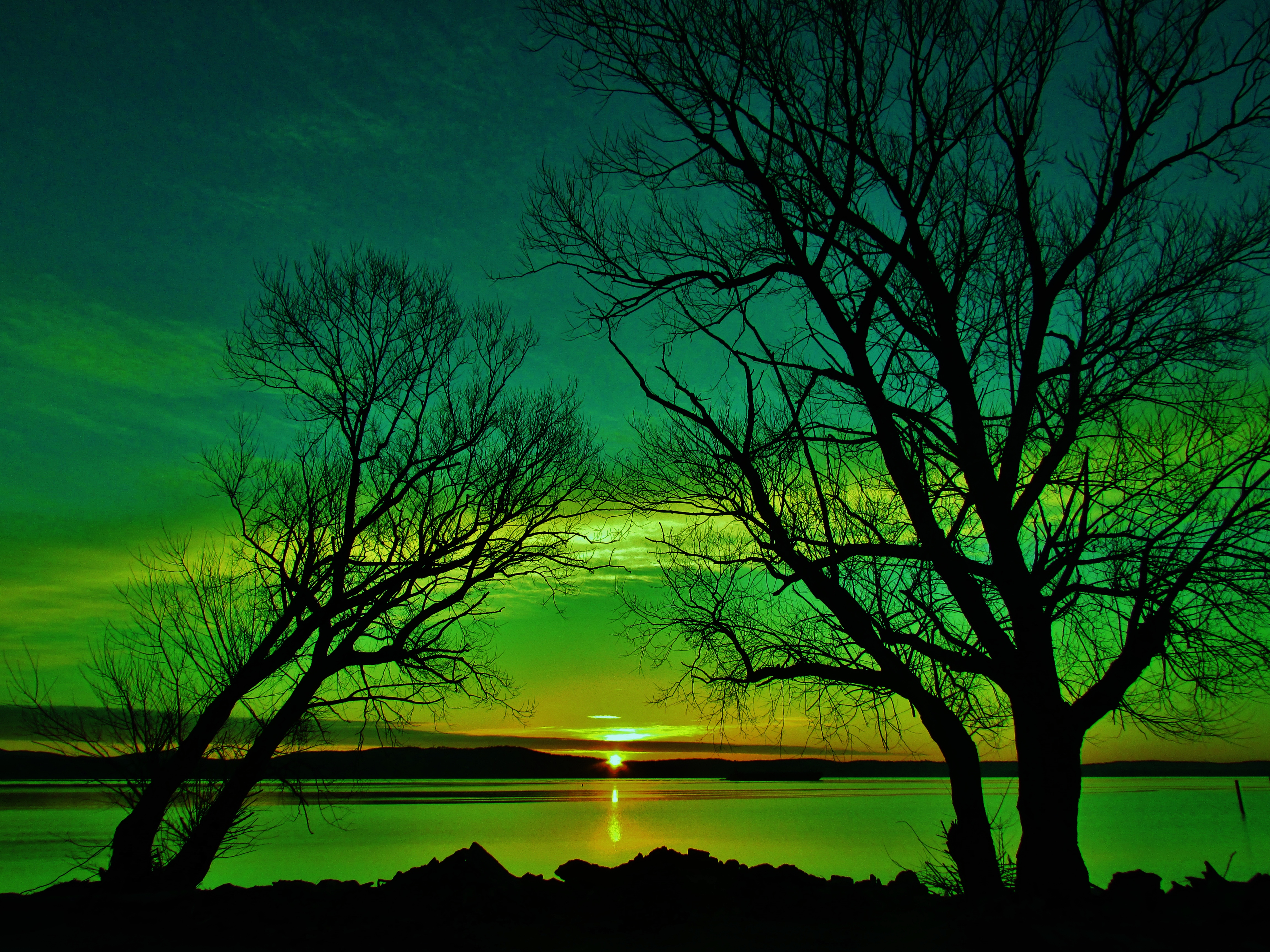 Download mobile wallpaper Sunset, Sky, Lake, Silhouette, Tree, Earth for free.