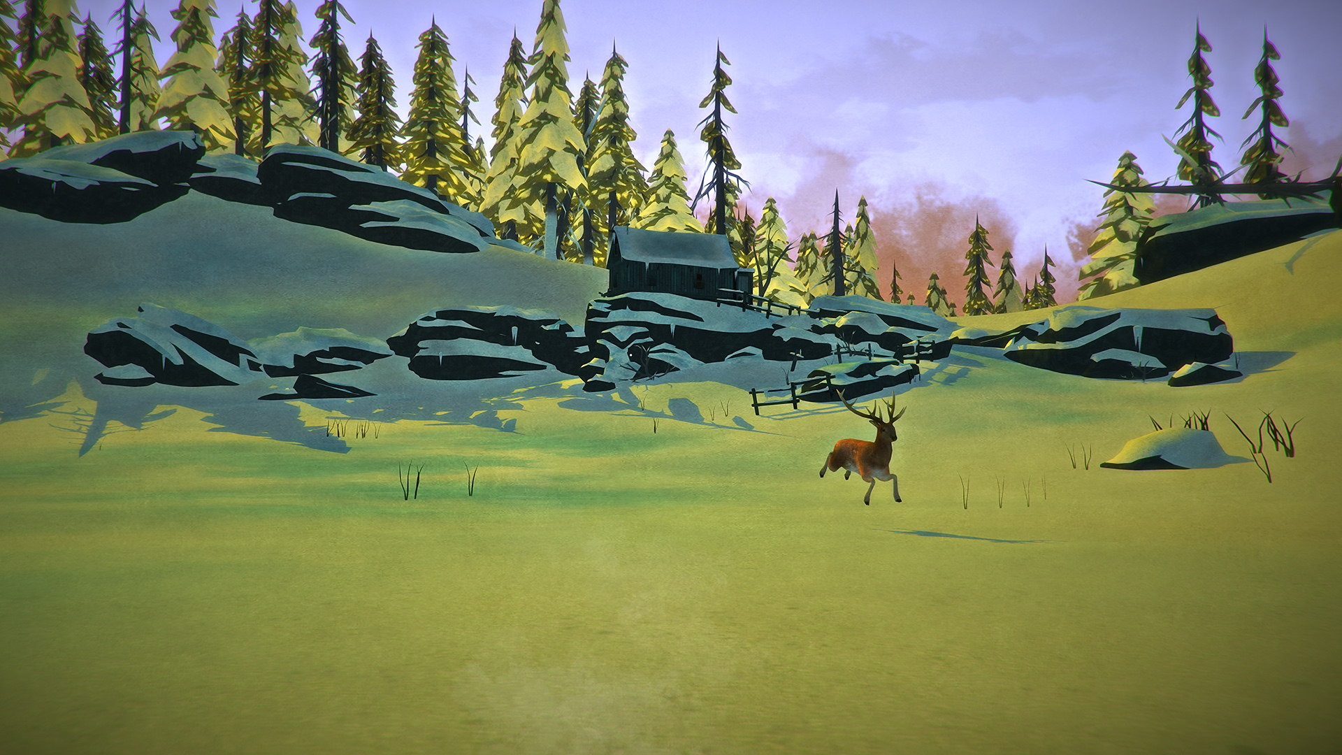 video game, the long dark