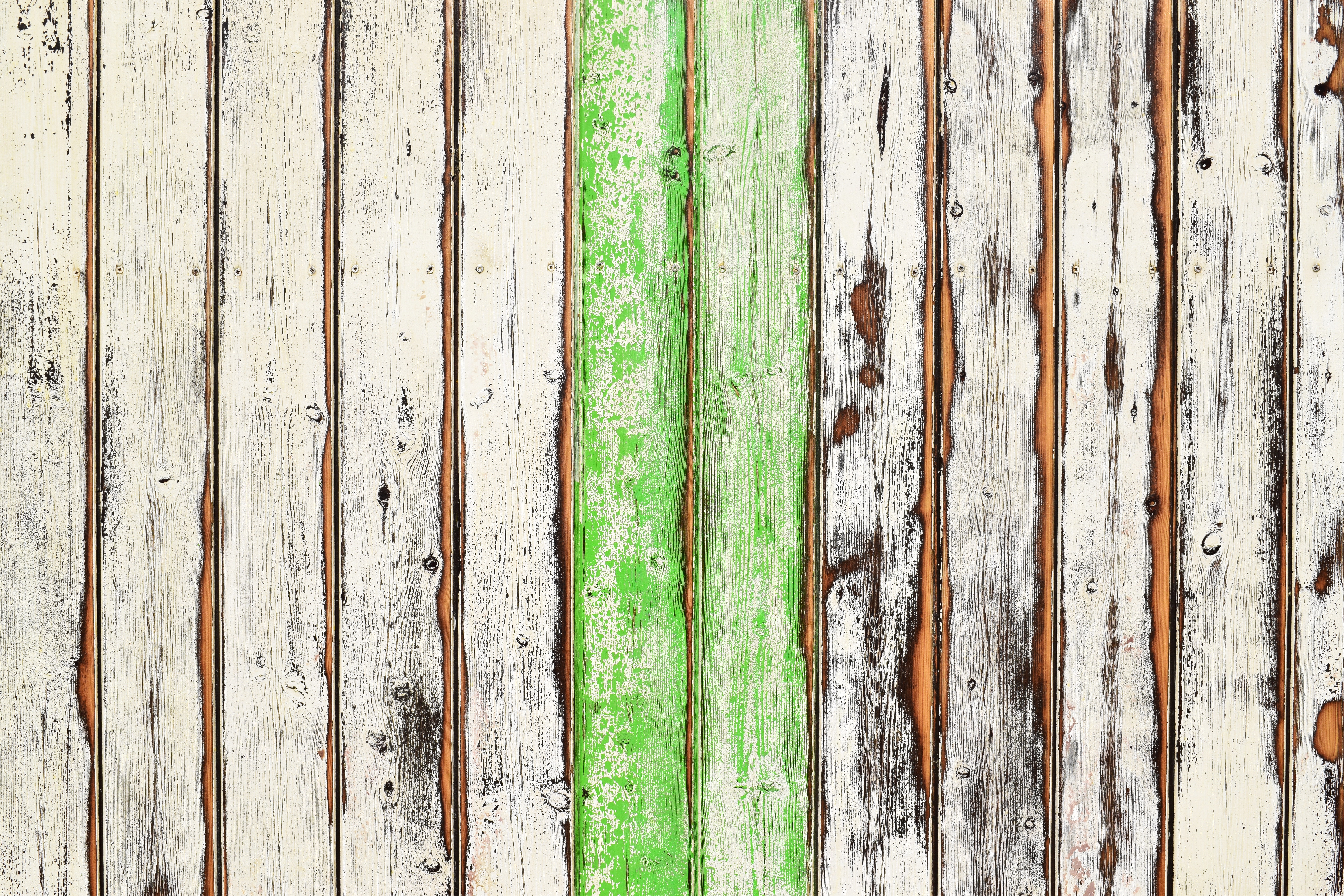 wood, wooden, texture, textures, paint, shabby