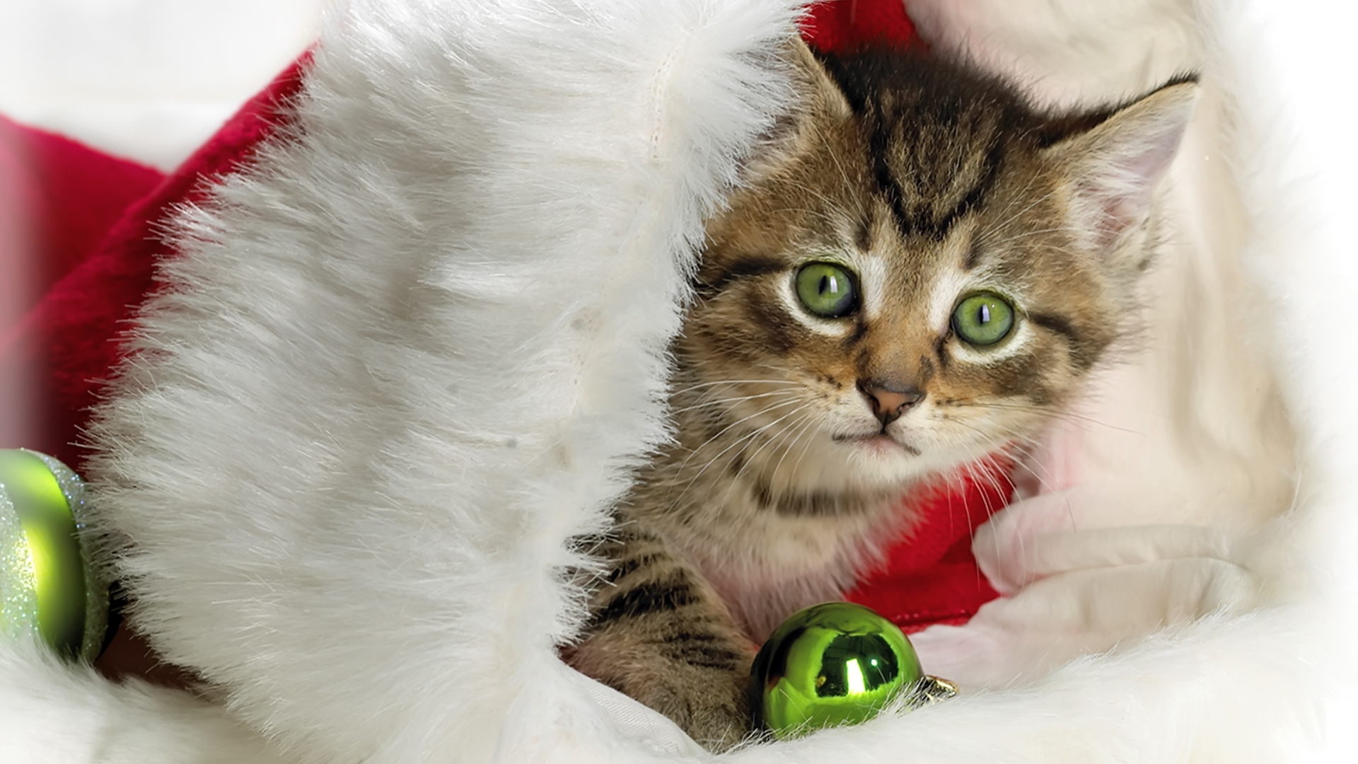 Handy-Wallpaper Feiertage, Weihnachten, Kätzchen, Weihnachtsschmuck, Weihnachtsmütze kostenlos herunterladen.