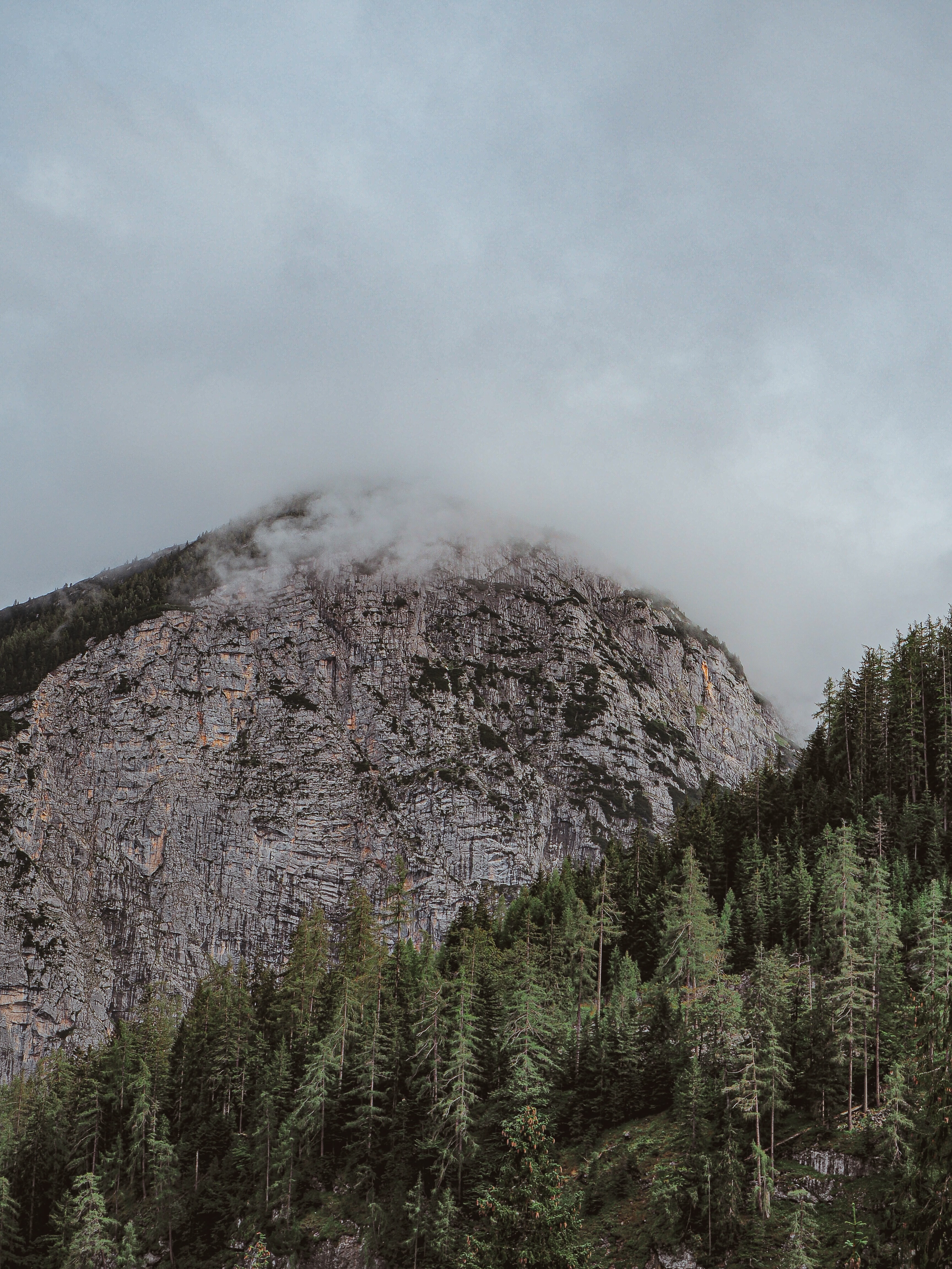 stone, nature, trees, mountain, vertex, top, fog