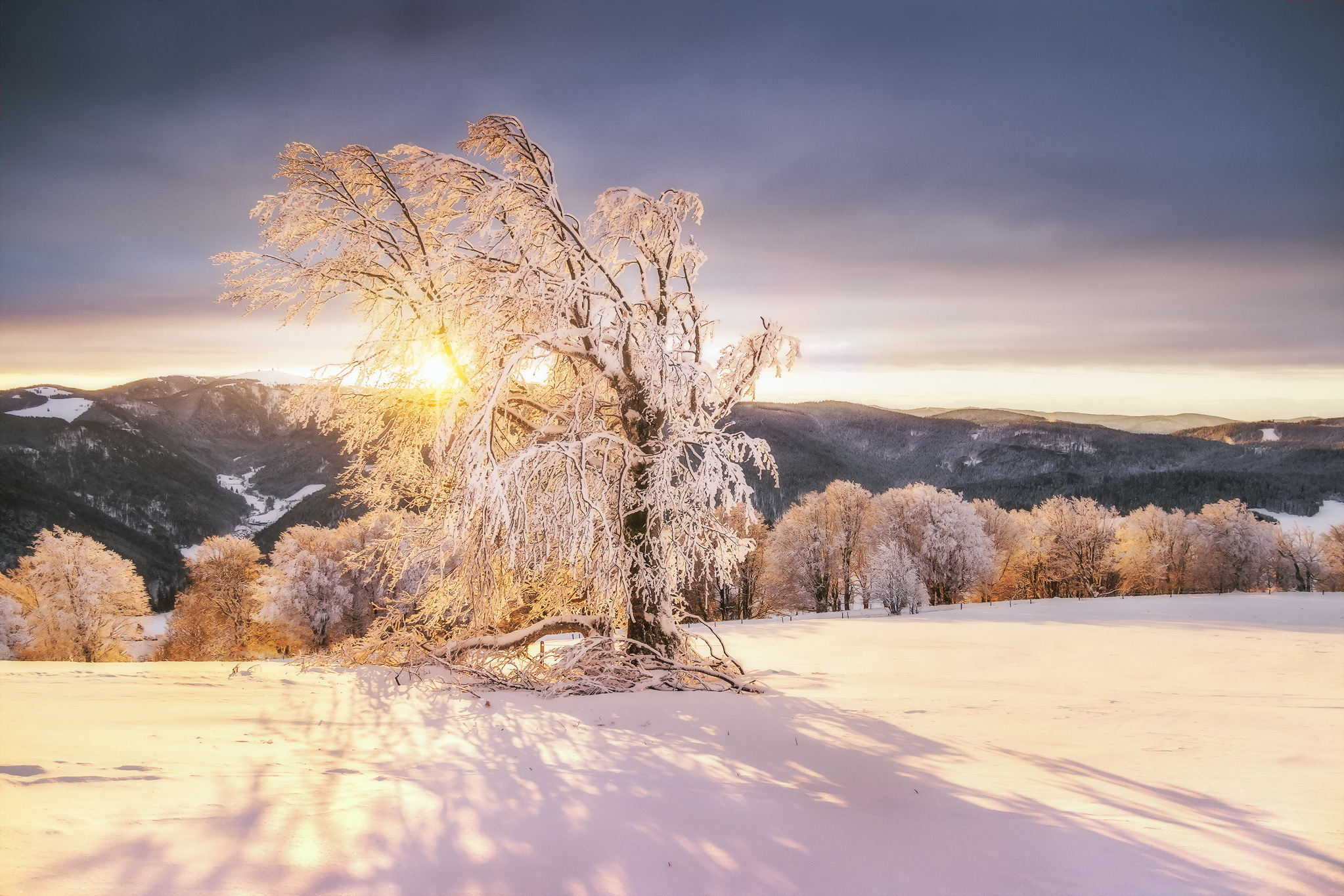 Download mobile wallpaper Nature, Sunset, Snow, Mountain, Tree, Earth for free.