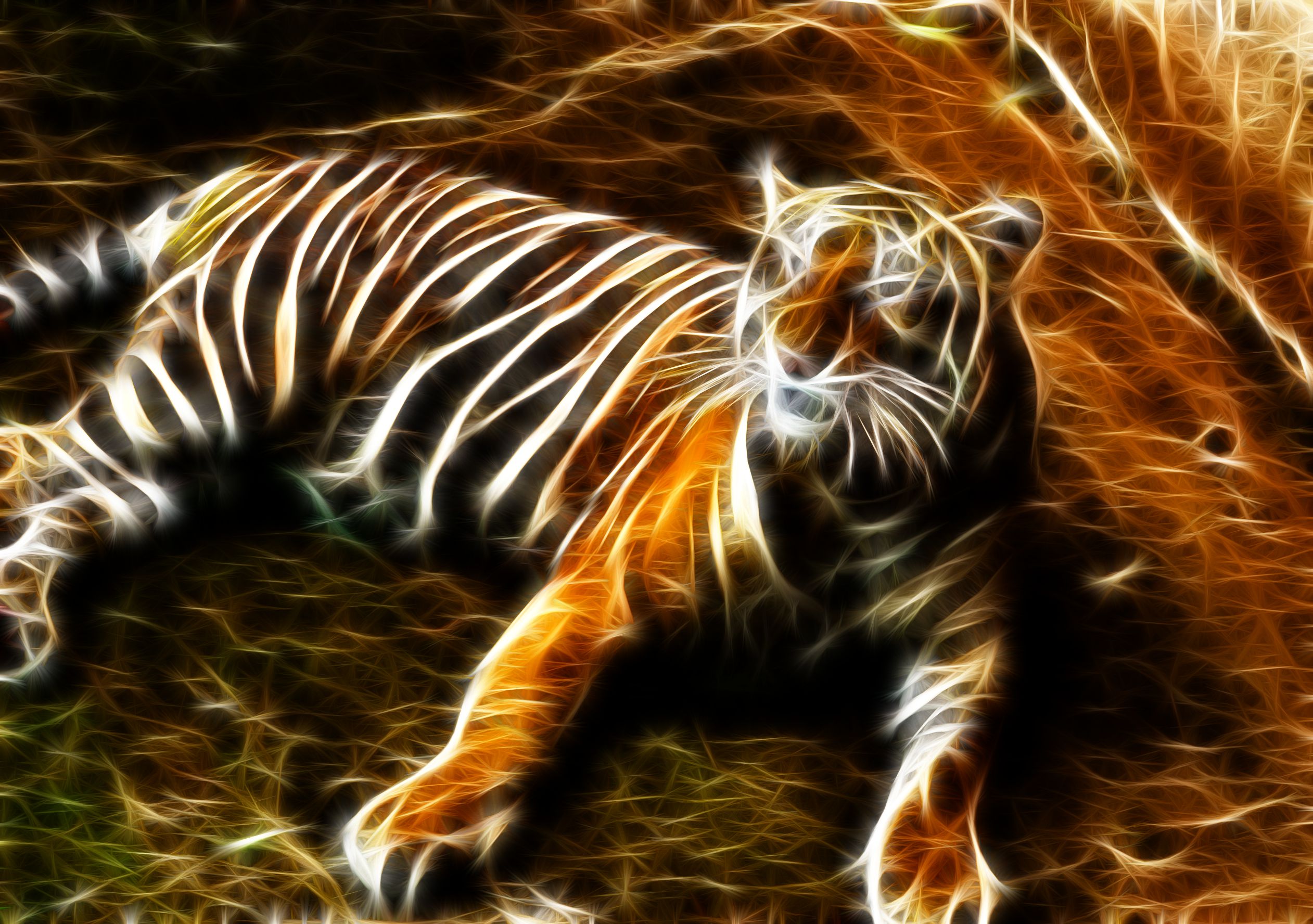 Free download wallpaper Cats, Tiger, Animal on your PC desktop