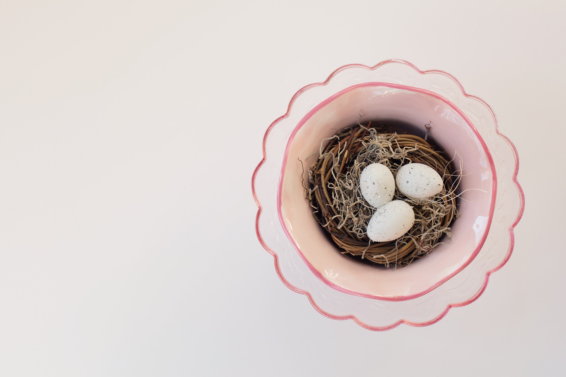 Download mobile wallpaper Animal, Egg, Nest for free.