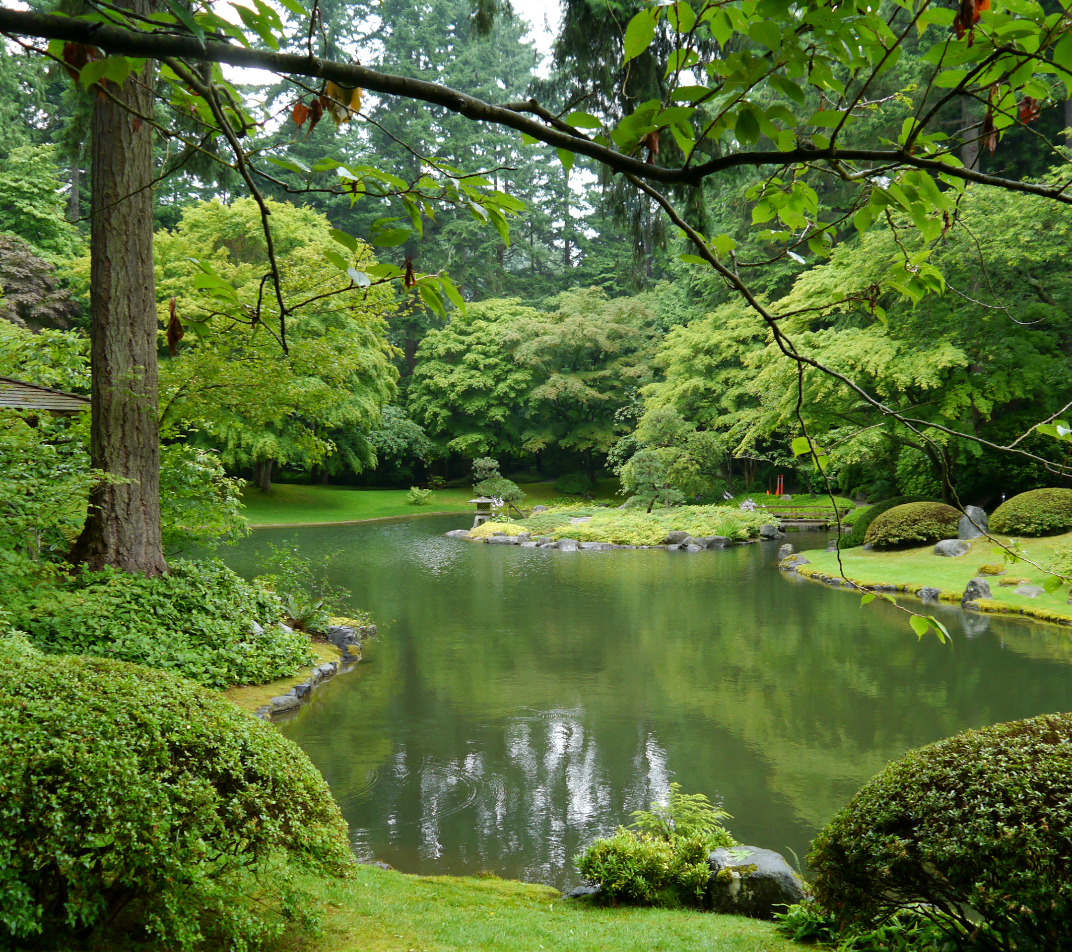 Baixe gratuitamente a imagem Grama, Lago, Canadá, Parque, Árvore, Arbusto, Fotografia, Vancouver na área de trabalho do seu PC