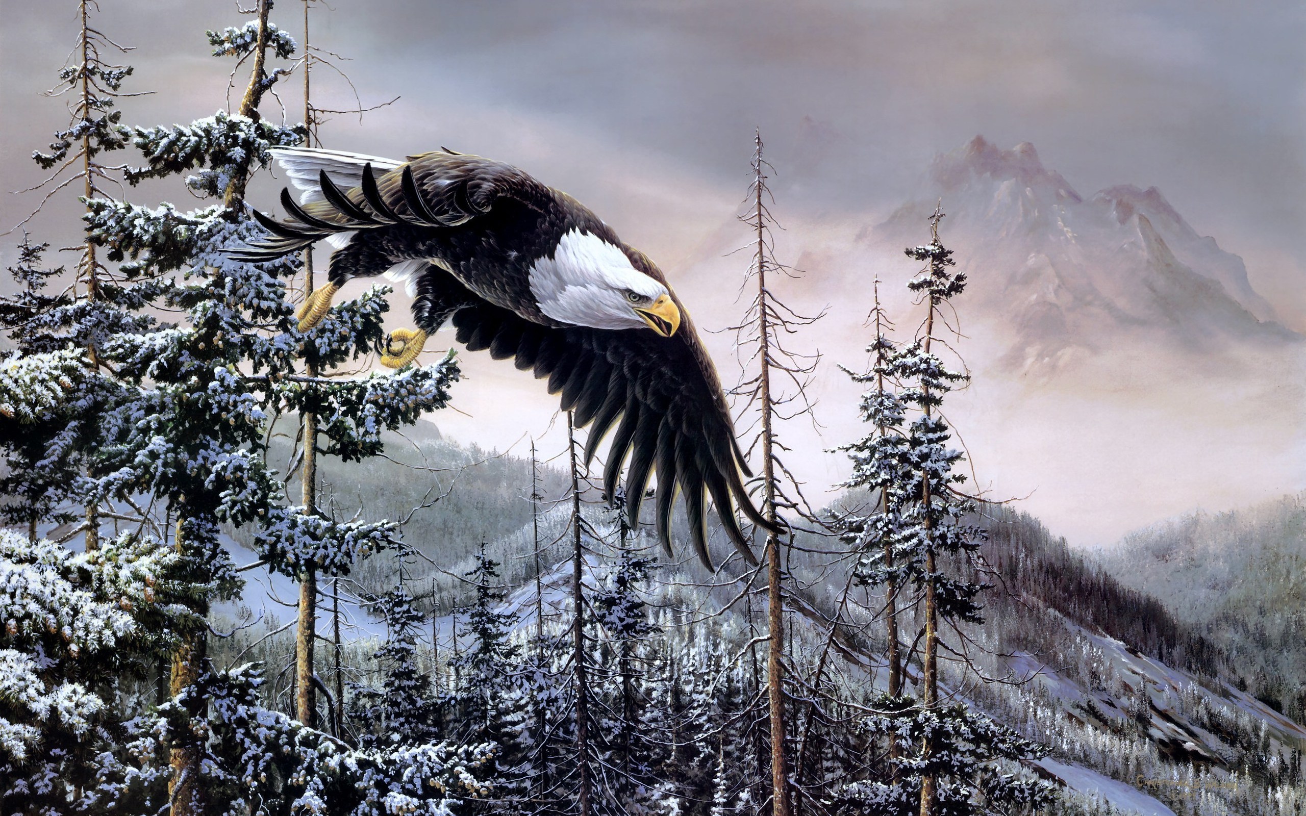 Free download wallpaper Birds, Animal, Bald Eagle on your PC desktop