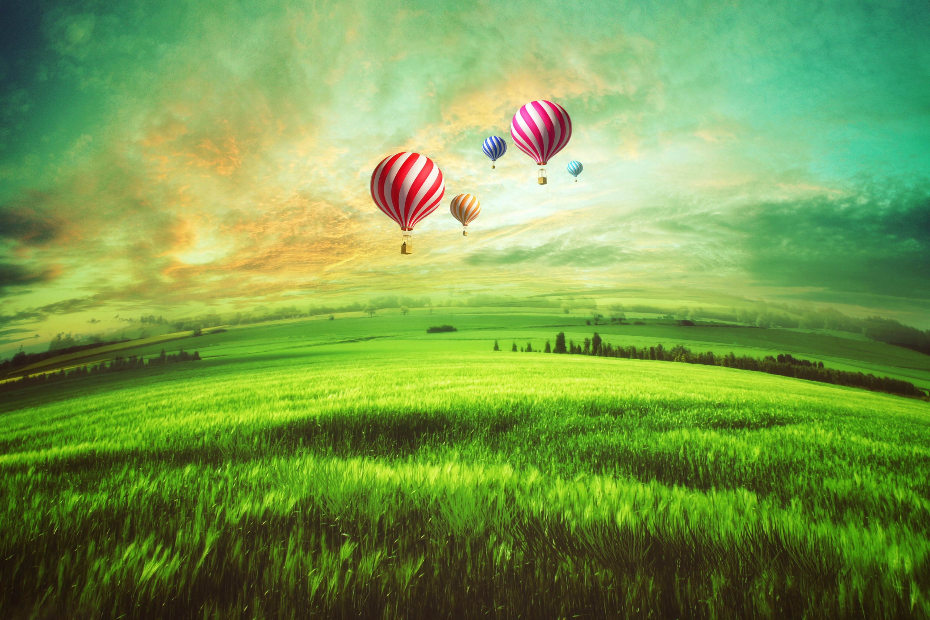 Free download wallpaper Landscape, Field, Vehicles, Hot Air Balloon on your PC desktop