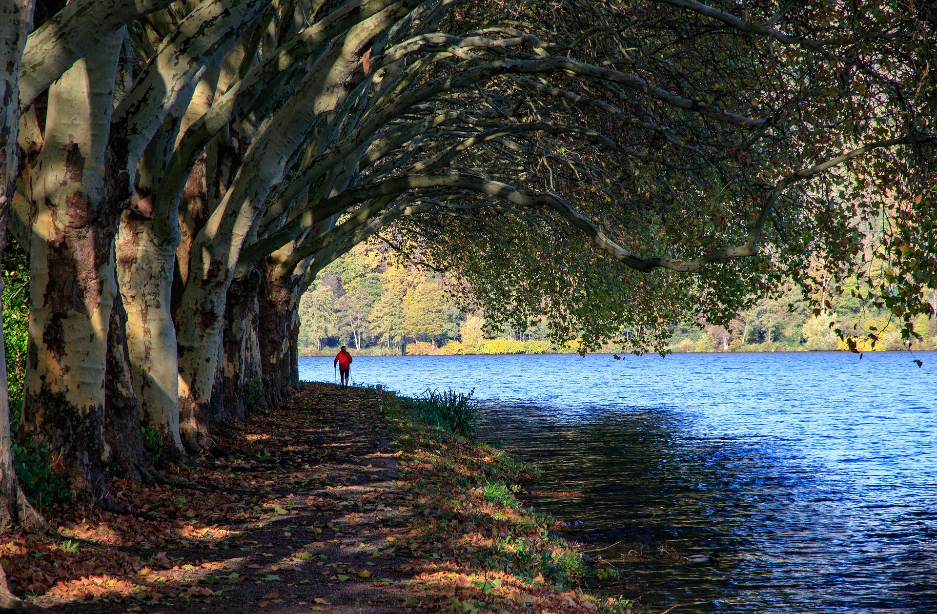 Free download wallpaper Lakes, Lake, Tree, Path, Photography on your PC desktop