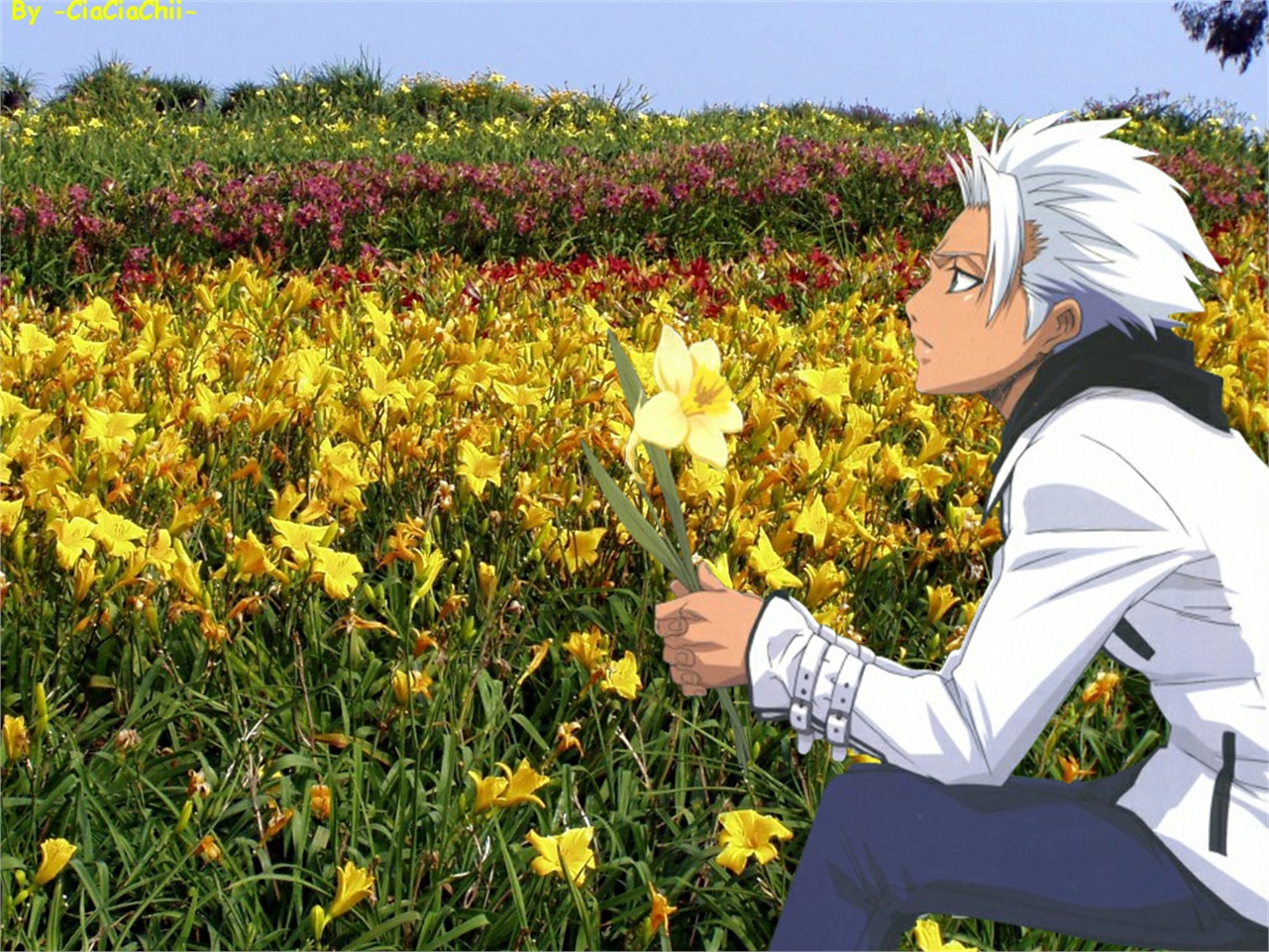 Free download wallpaper Anime, Bleach, Tōshirō Hitsugaya on your PC desktop