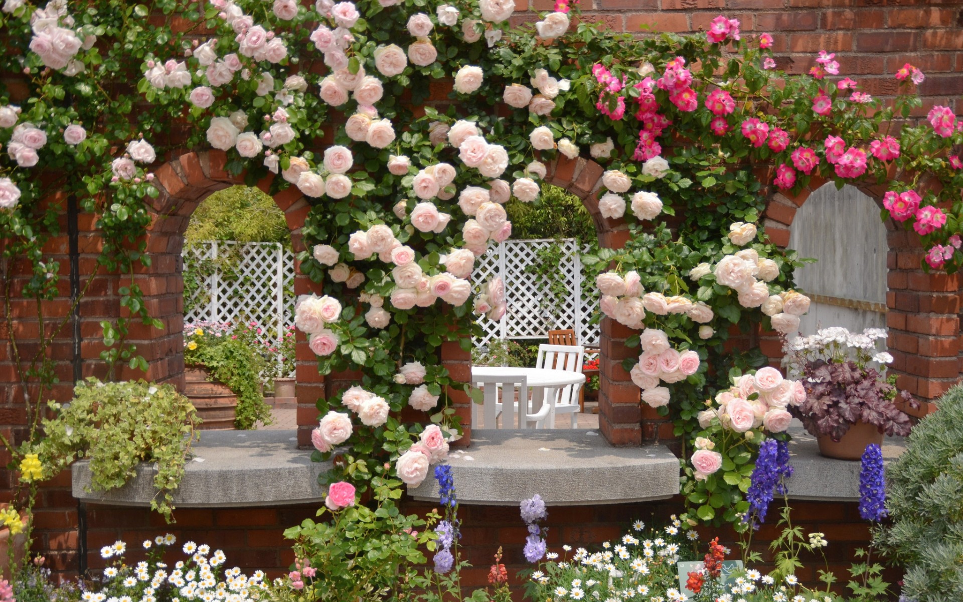 609417 baixar papel de parede feito pelo homem, flor, arbusto de rosas - protetores de tela e imagens gratuitamente