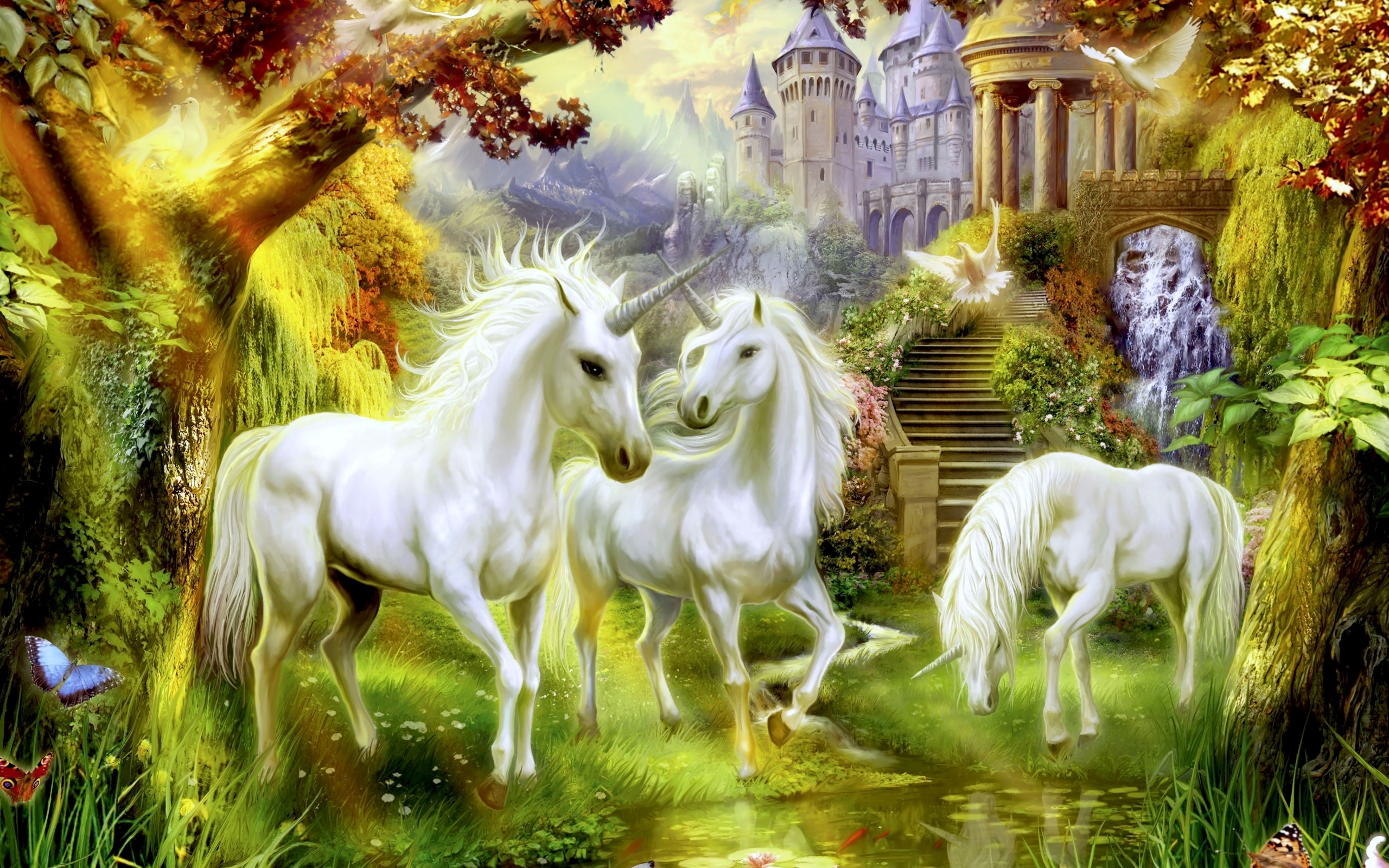 pictures, unicorns, animals HD wallpaper