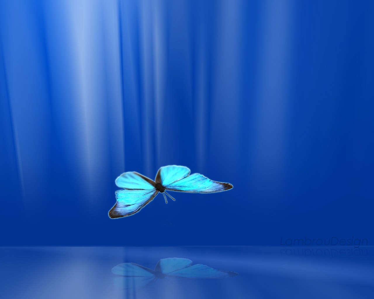 10258 скачать обои бабочки, фон, синие, насекомые - заставки и картинки бесплатно