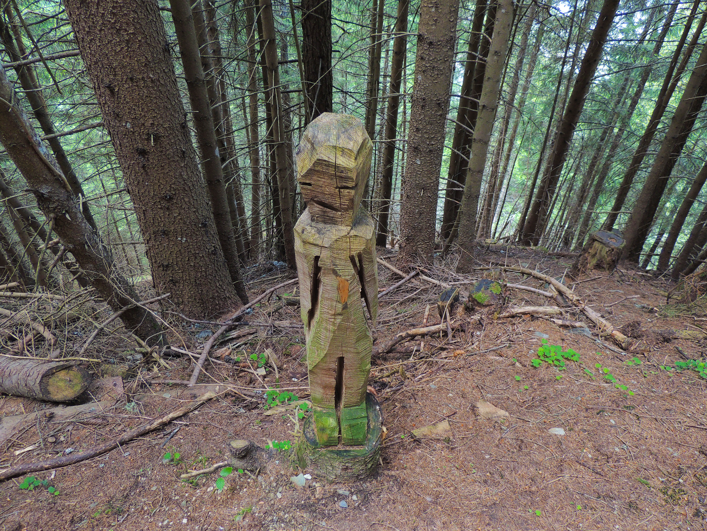 man made, carving, forest, wooden